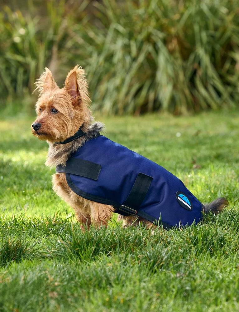 Weatherbeeta Comfitec Classic Waterproof Dog Coat, 3 Colours, 11 Sizes.