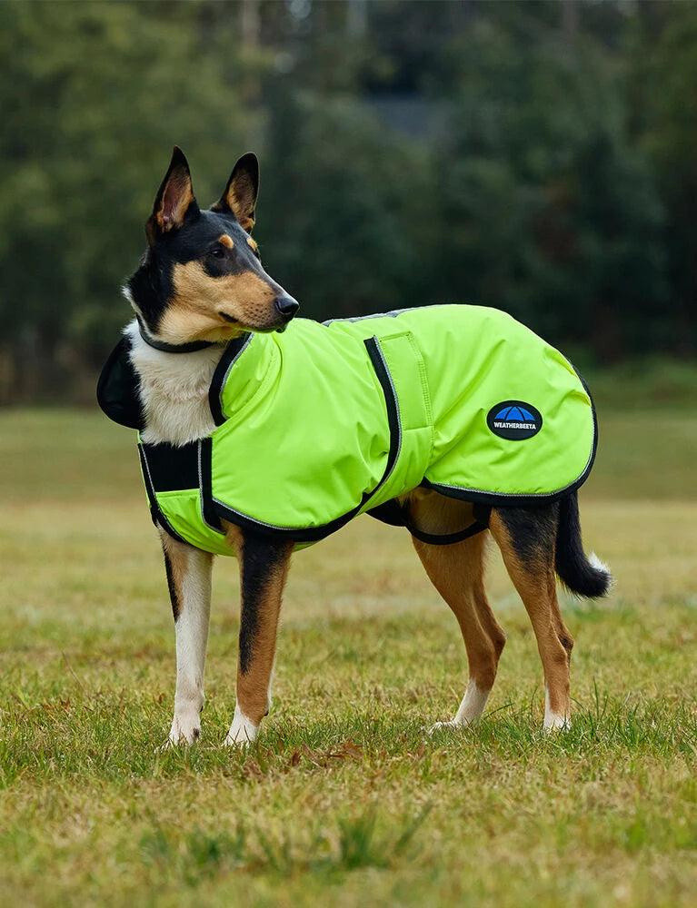 Weatherbeeta Comfitec Reflective 300D Deluxe Showerproof Dog Coat,  11 Sizes.