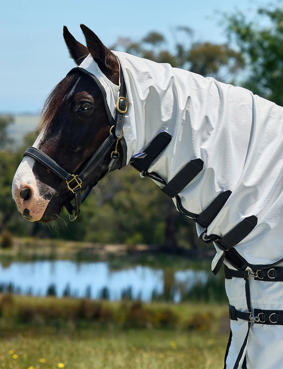 WeatherBeeta ComFiTec Sweet Itch Shield Fly Sheet Rug Full Neck Combo Belly Band