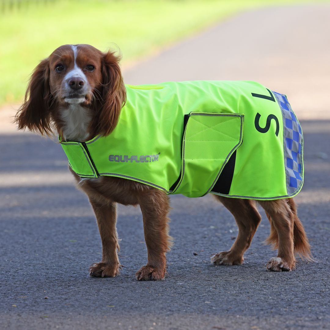 Equi-Flector Reflective Mesh Dog Coat, 2 Colours, 9 Sizes