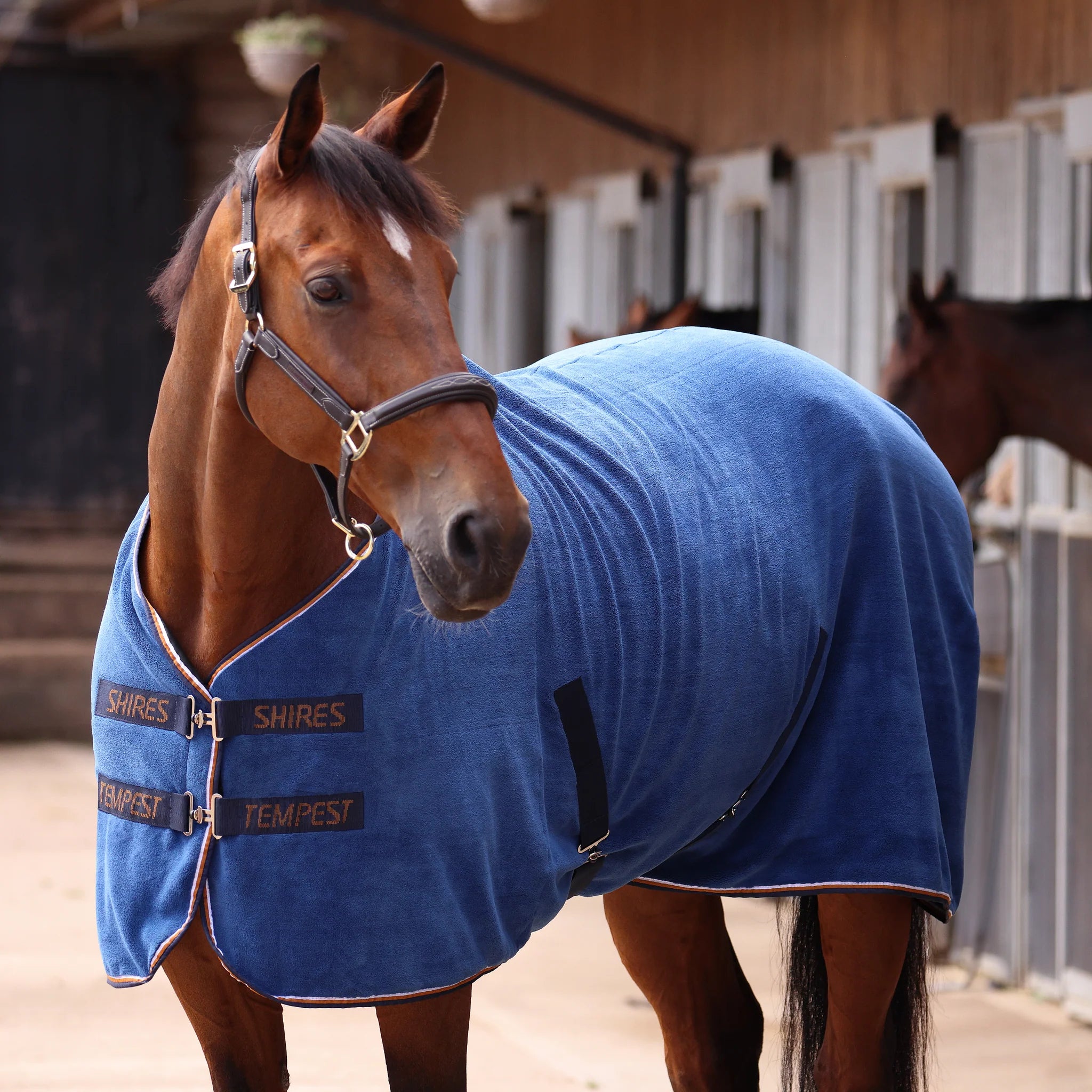 Shires Tempest Original Ultra Drying Horse Rug, Navy, 5'0" - 7'0"
