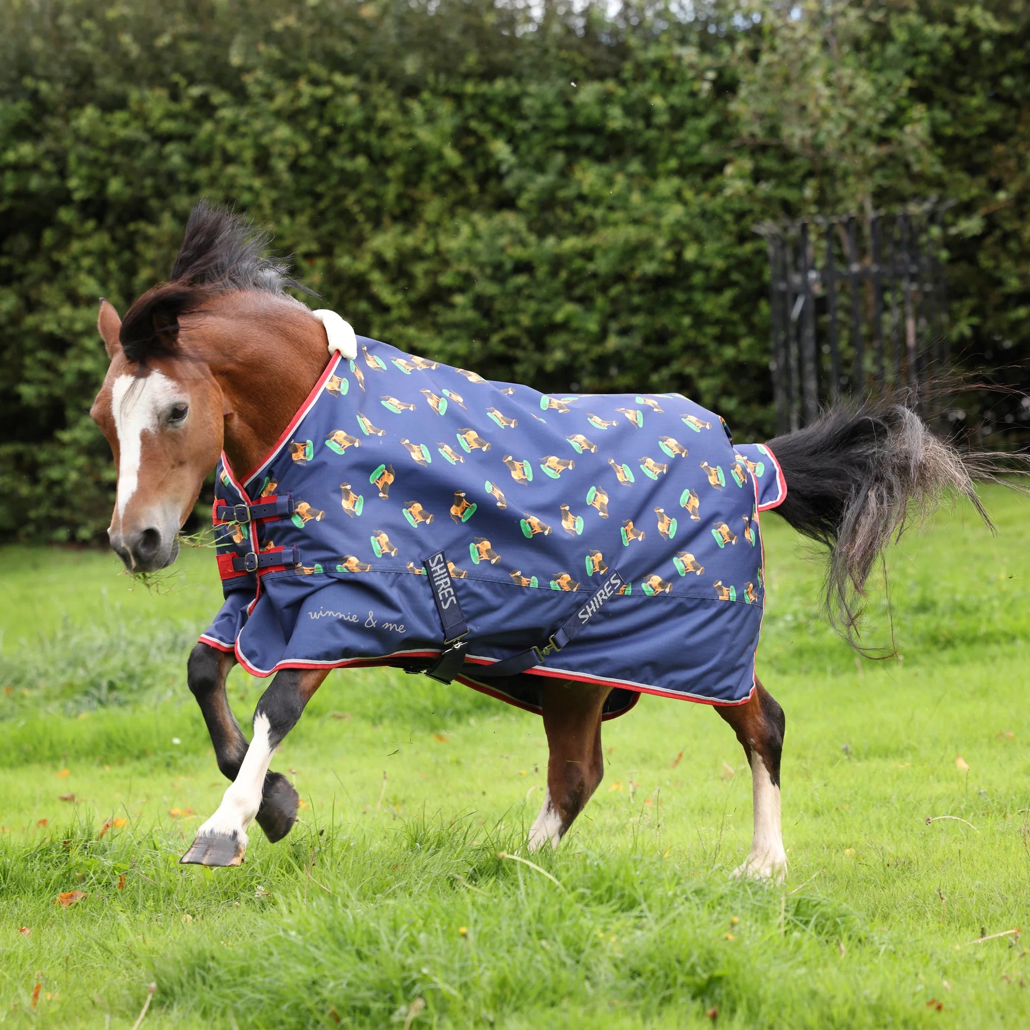 Shires Winnie & Me 0g Pony Turnout Rug, Lightweight, 600 Denier, 3'6" - 5'3",