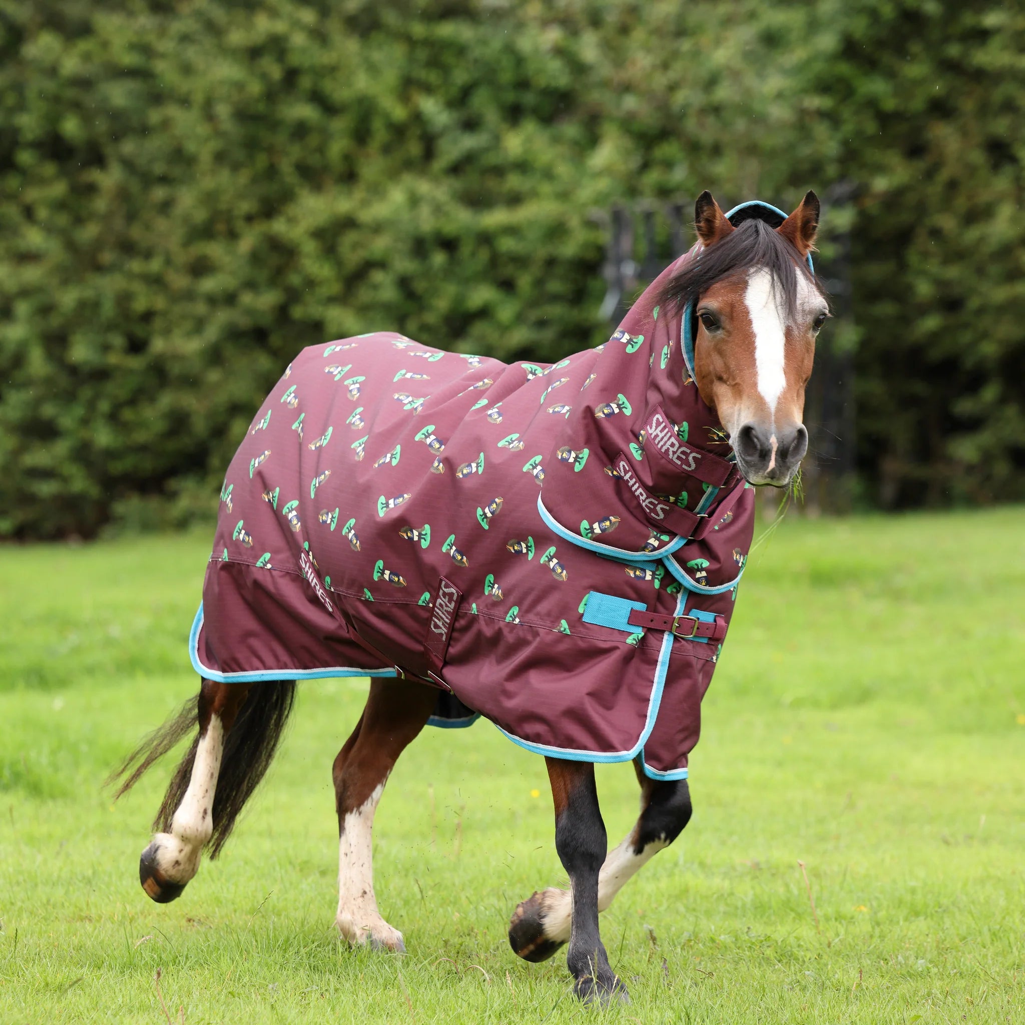 Shires Winnie & Me 200g Pony Turnout Rug, Mediumweight, 600 Denier, 3'6" - 5'3",