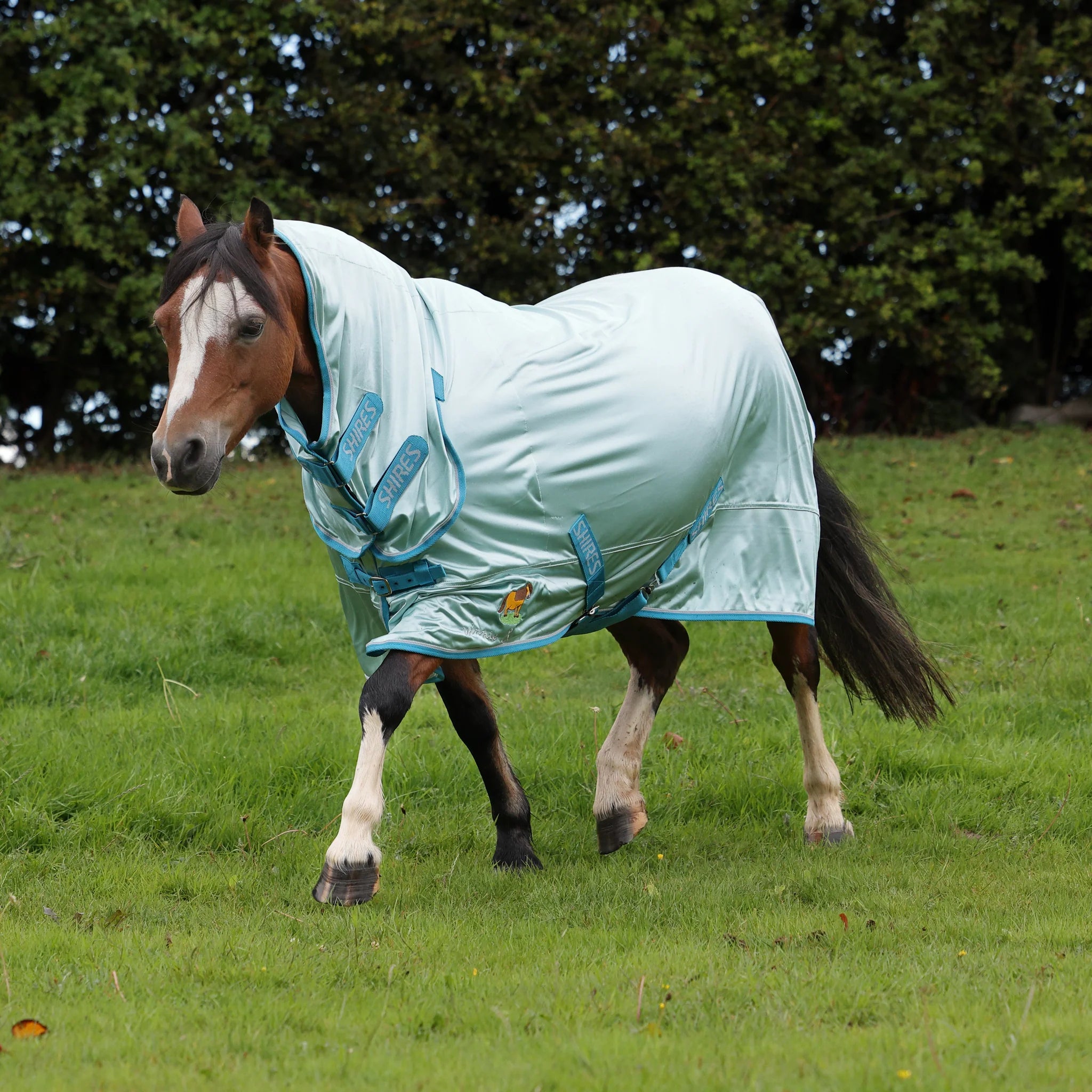 Shires Winnie & Me Fly Combo Pony Rug, 3'6"-5'3", Light Blue, 80% UV