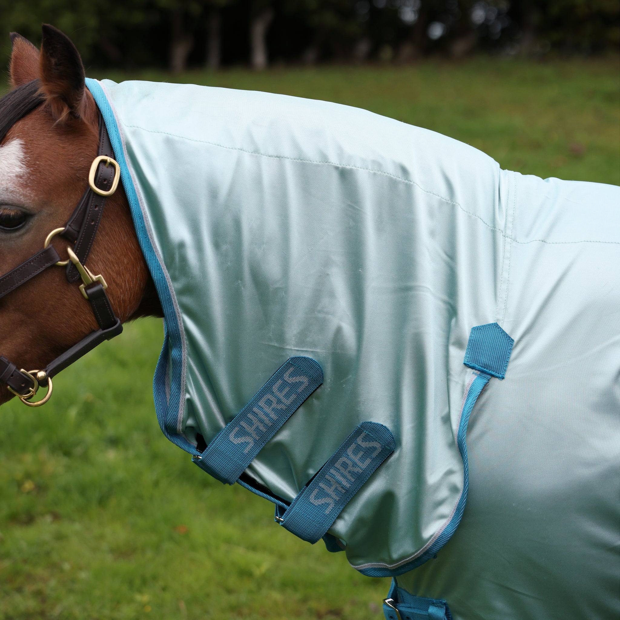 Shires Winnie & Me Fly Combo Pony Rug, 3'6"-5'3", Light Blue, 80% UV