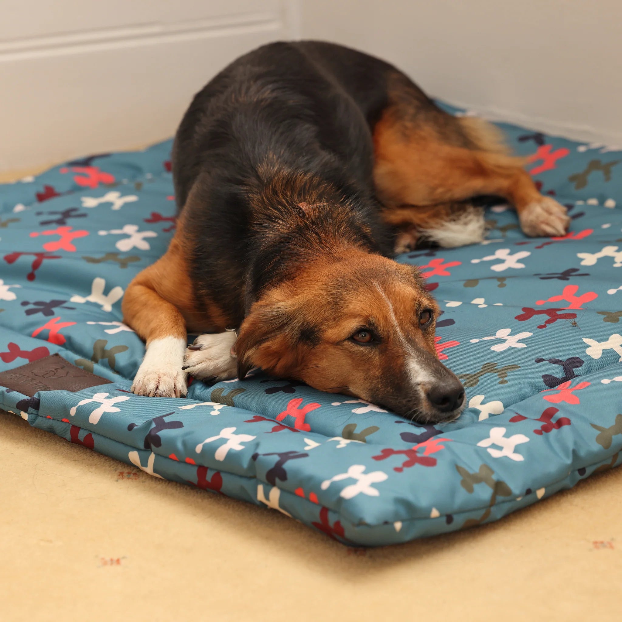 Digby & Fox Waterproof Padded Dog Bed, 2 Sizes, 3 Colours