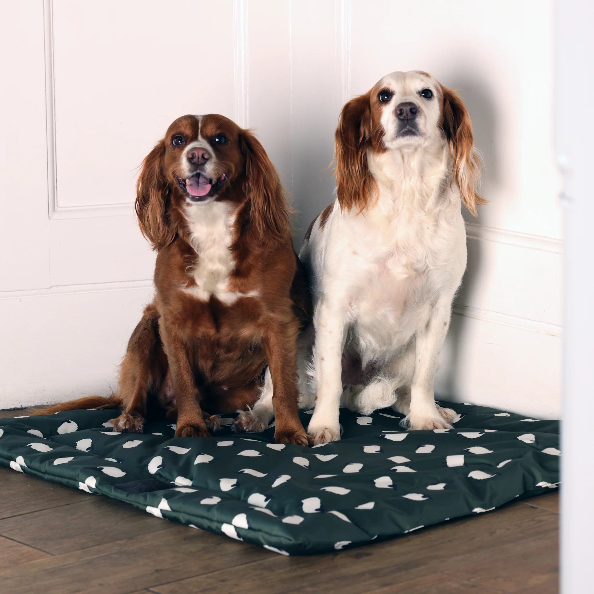 Digby & Fox Waterproof Padded Dog Bed, 2 Sizes, 3 Colours