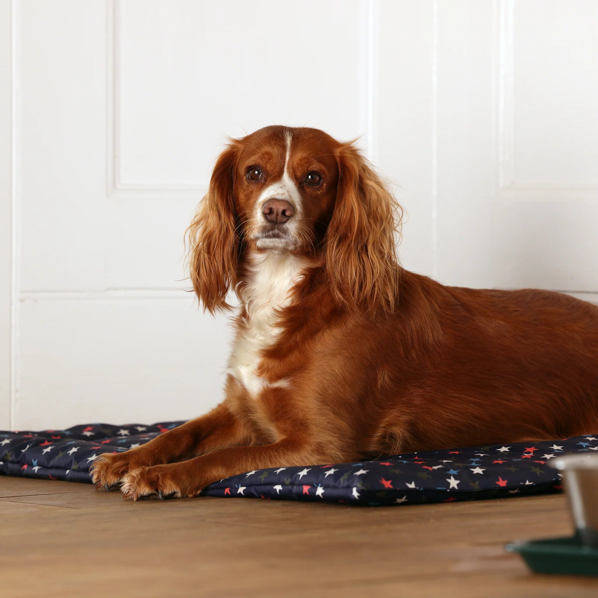 Digby & Fox Waterproof Padded Dog Bed, 2 Sizes, 3 Colours
