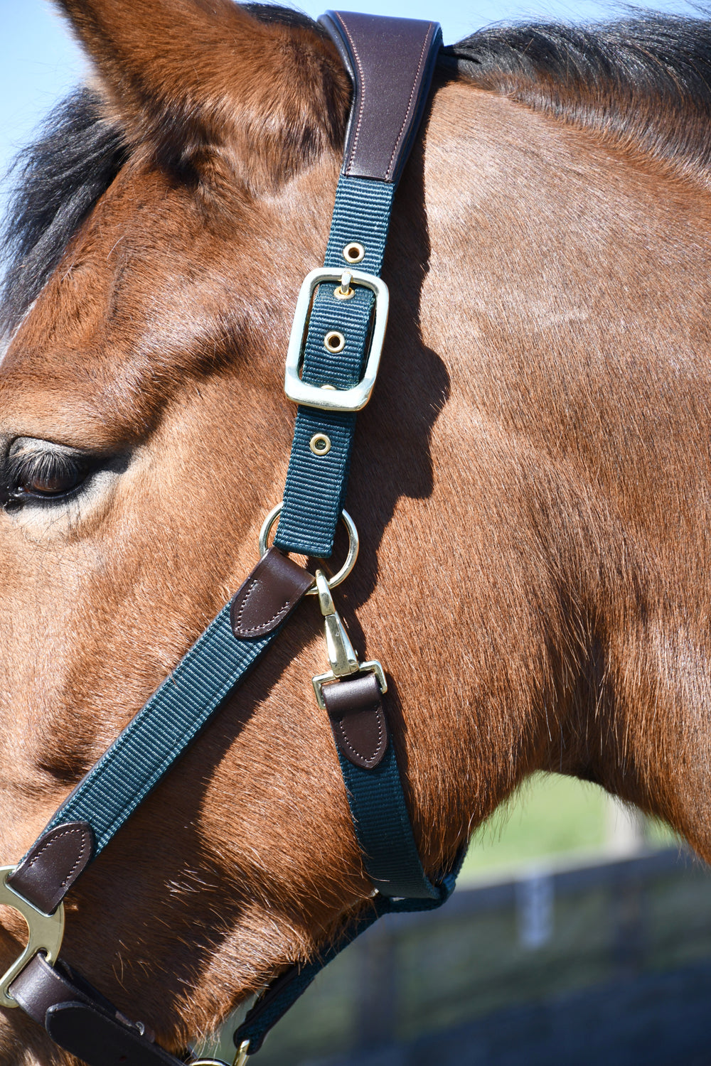 Heritage Anatomical Leather Lined Headcollar 2 Colours 4 Sizes
