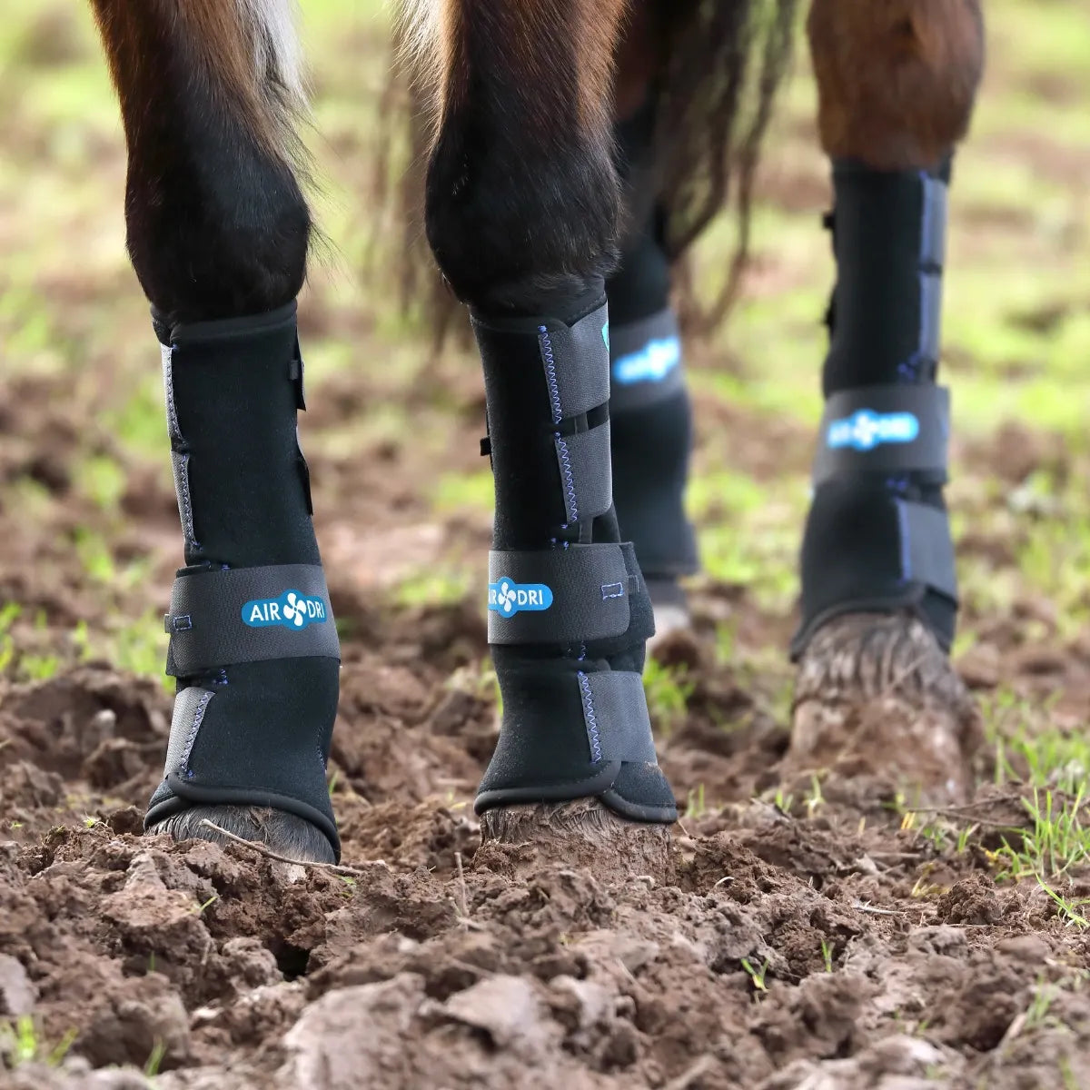 Shires Arma Deluxe Mud Socks, Neoprene Horse Turnout Boots
