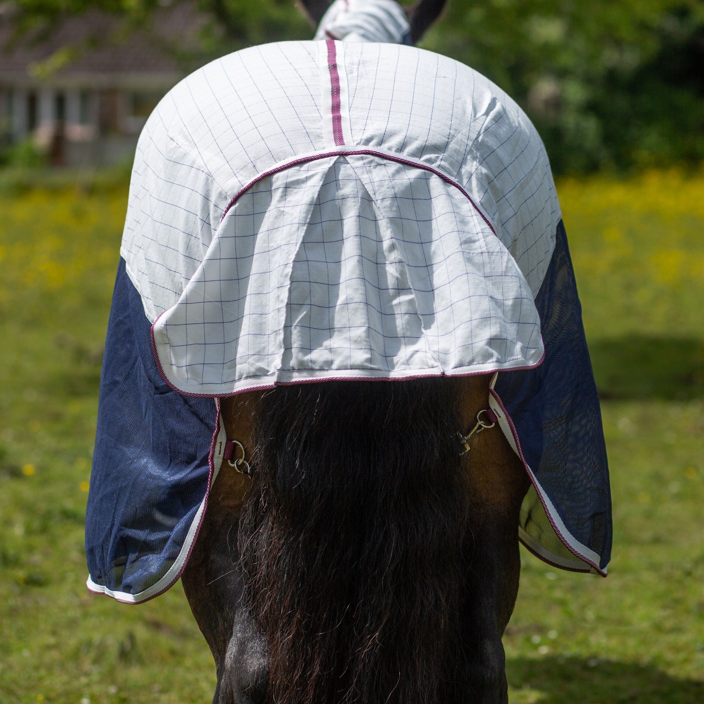 Gallop Equestrian Air Mesh Dual Summer Sheet,Horse Fly Sheet, Detachable Neck