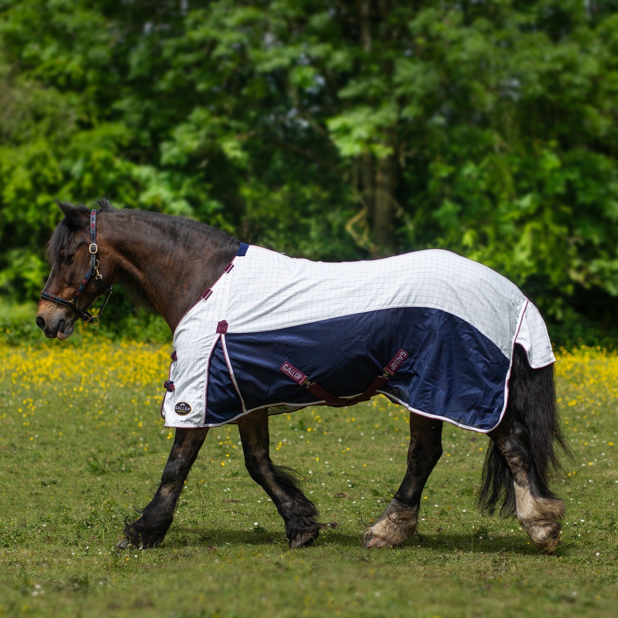 Gallop Equestrian Air Mesh Dual Summer Sheet,Horse Fly Sheet, Detachable Neck