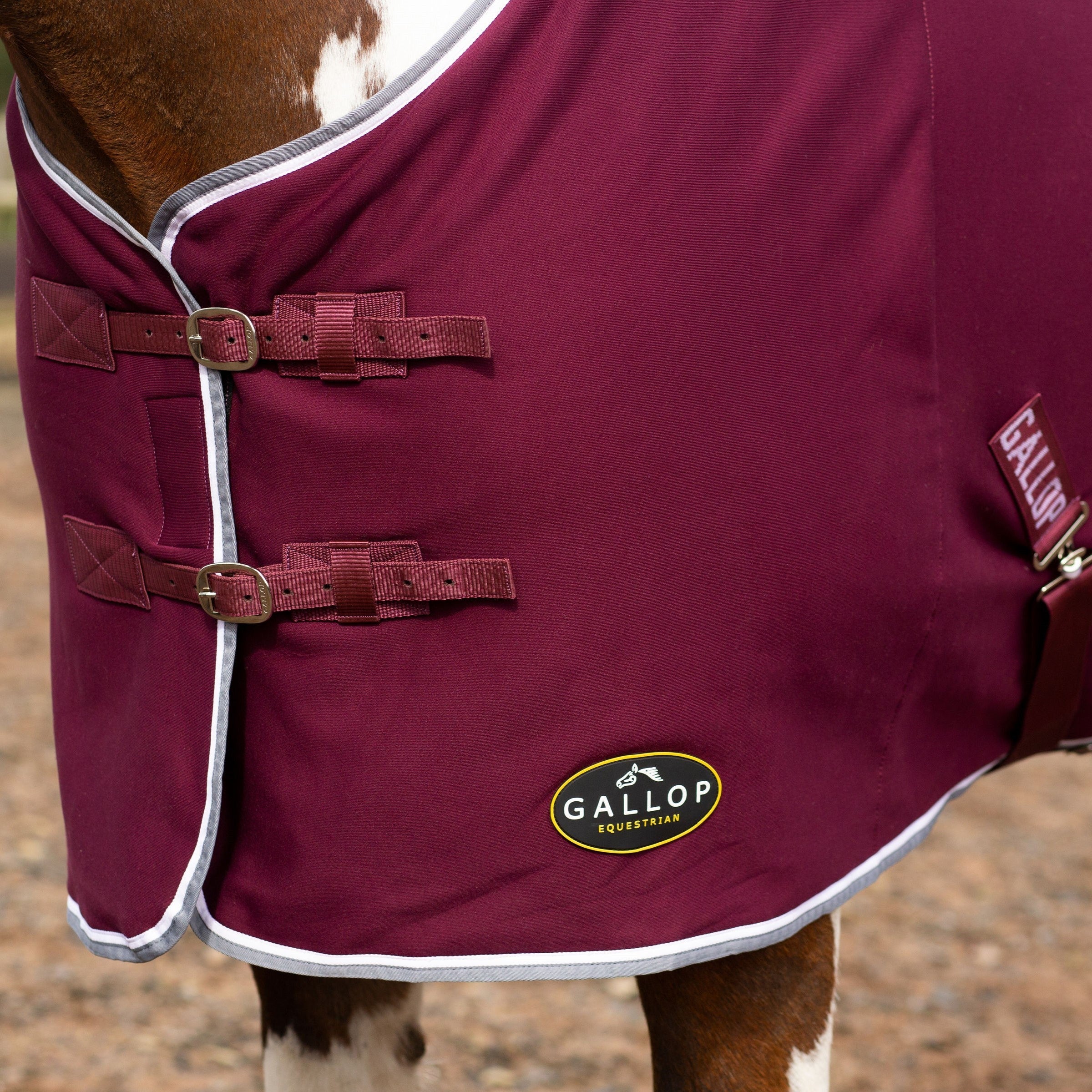 GALLOP Jersey Cooler / Travel Horse Rug