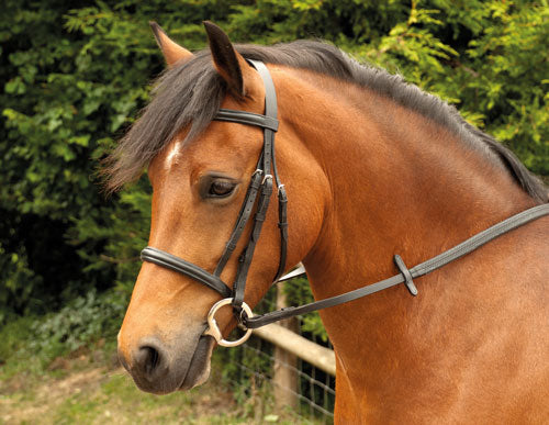 Windsor leather snaffle cavesson bridle with reins, black or havana