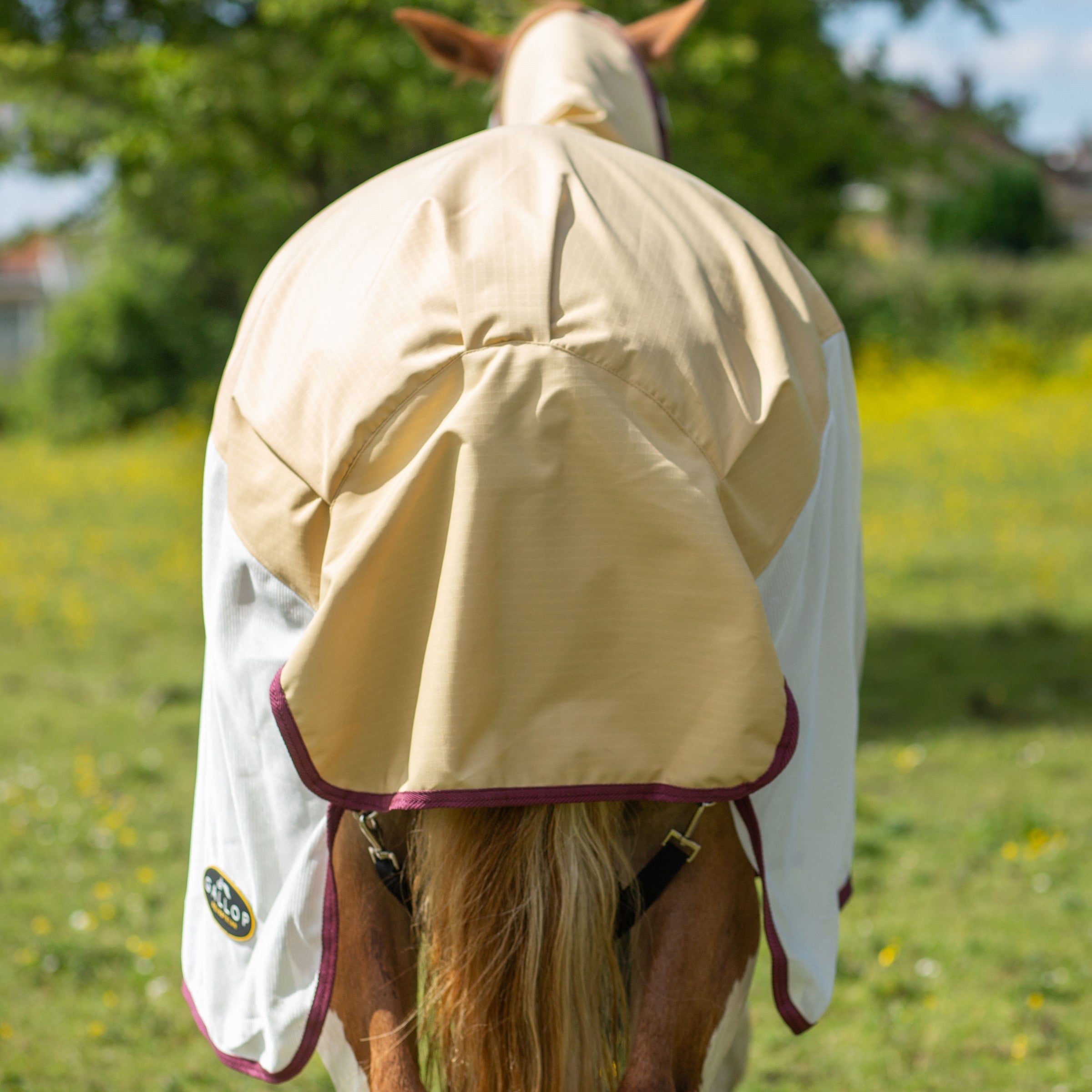 Gallop Trojan Dual 0g Turnout Fly Rug and Neck Set, Beige/White