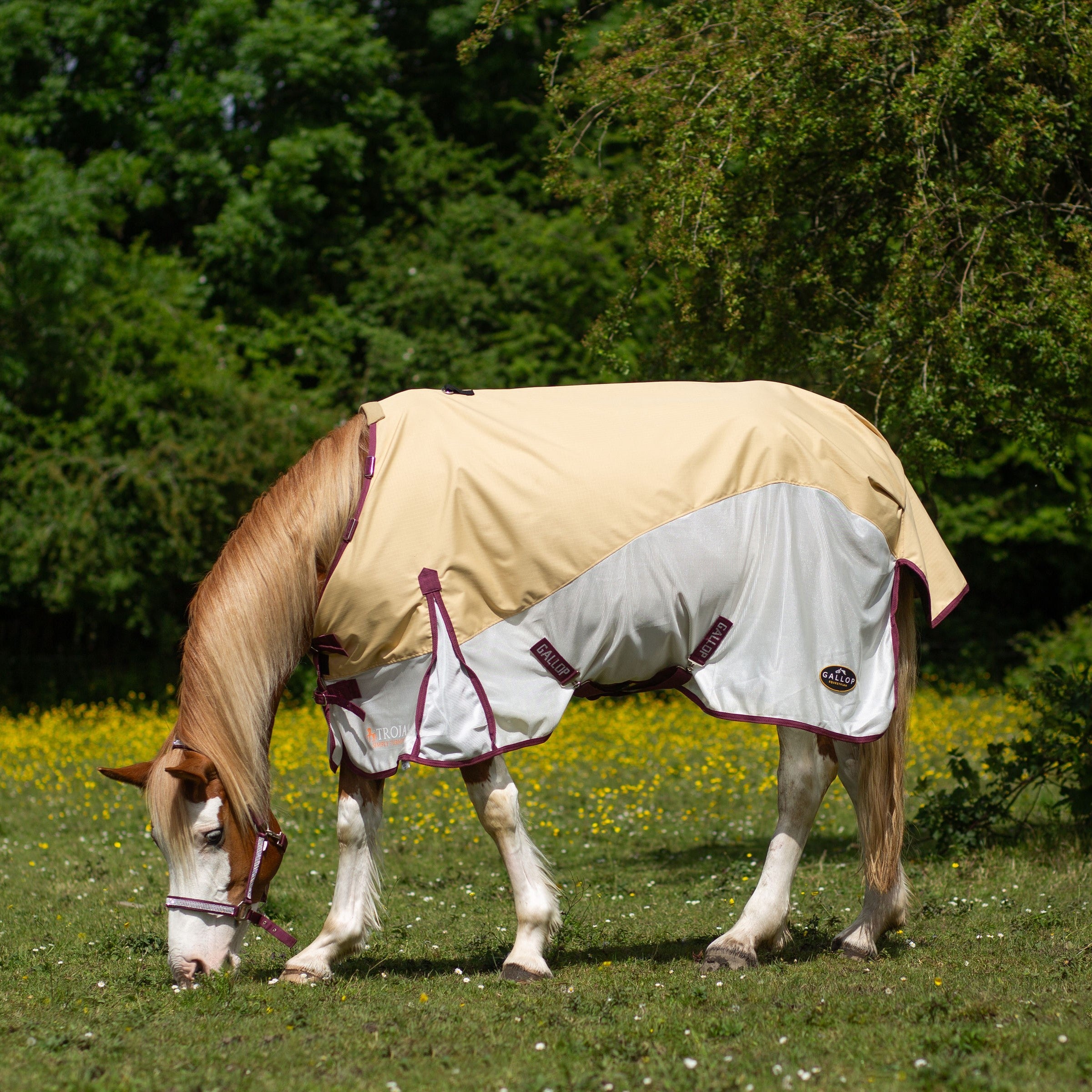 Gallop Trojan Dual 0g Turnout Fly Rug and Neck Set, Beige/White