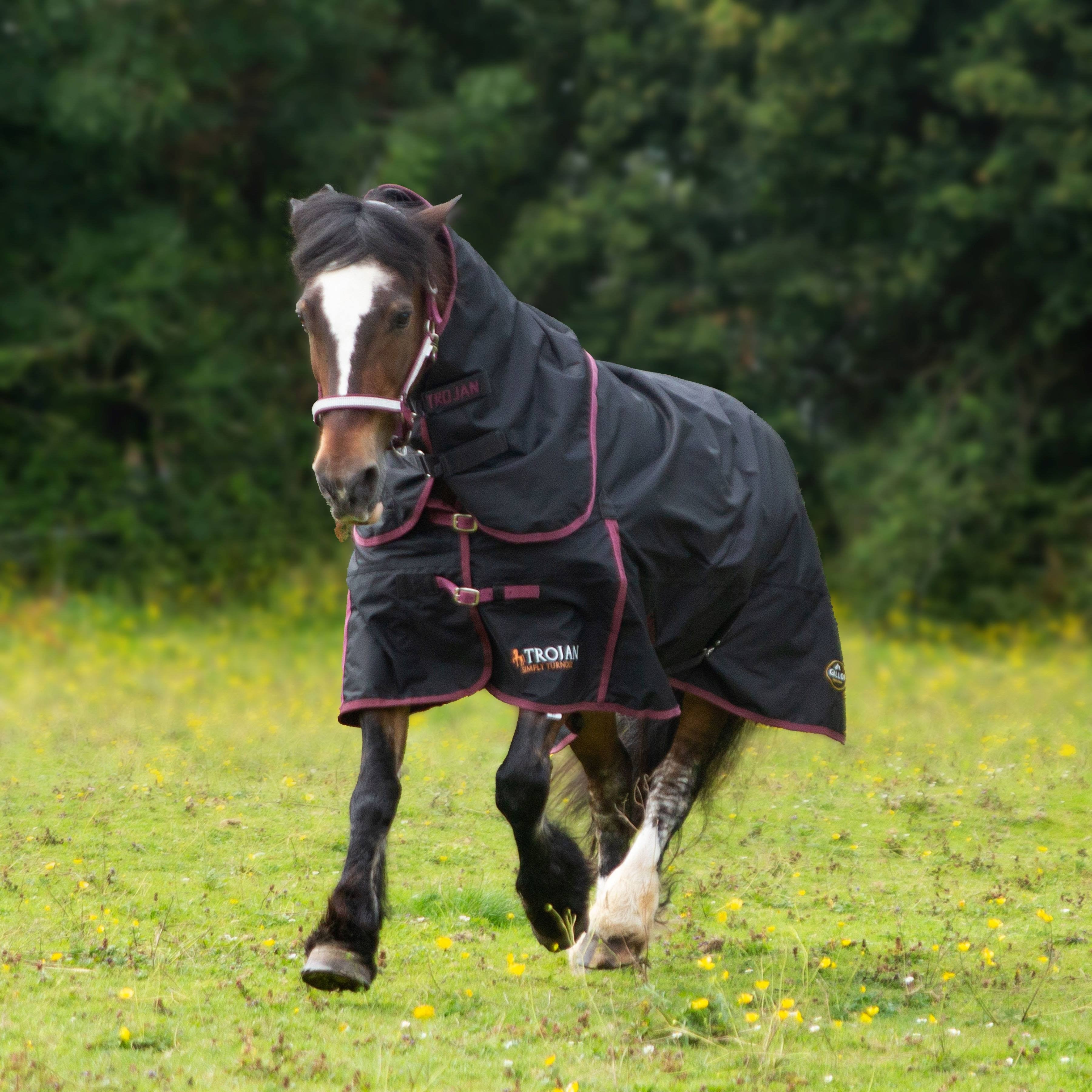 Gallop Trojan 50g Horse Turnout Rug & Neck Set, Detachable Neck, Lightweight