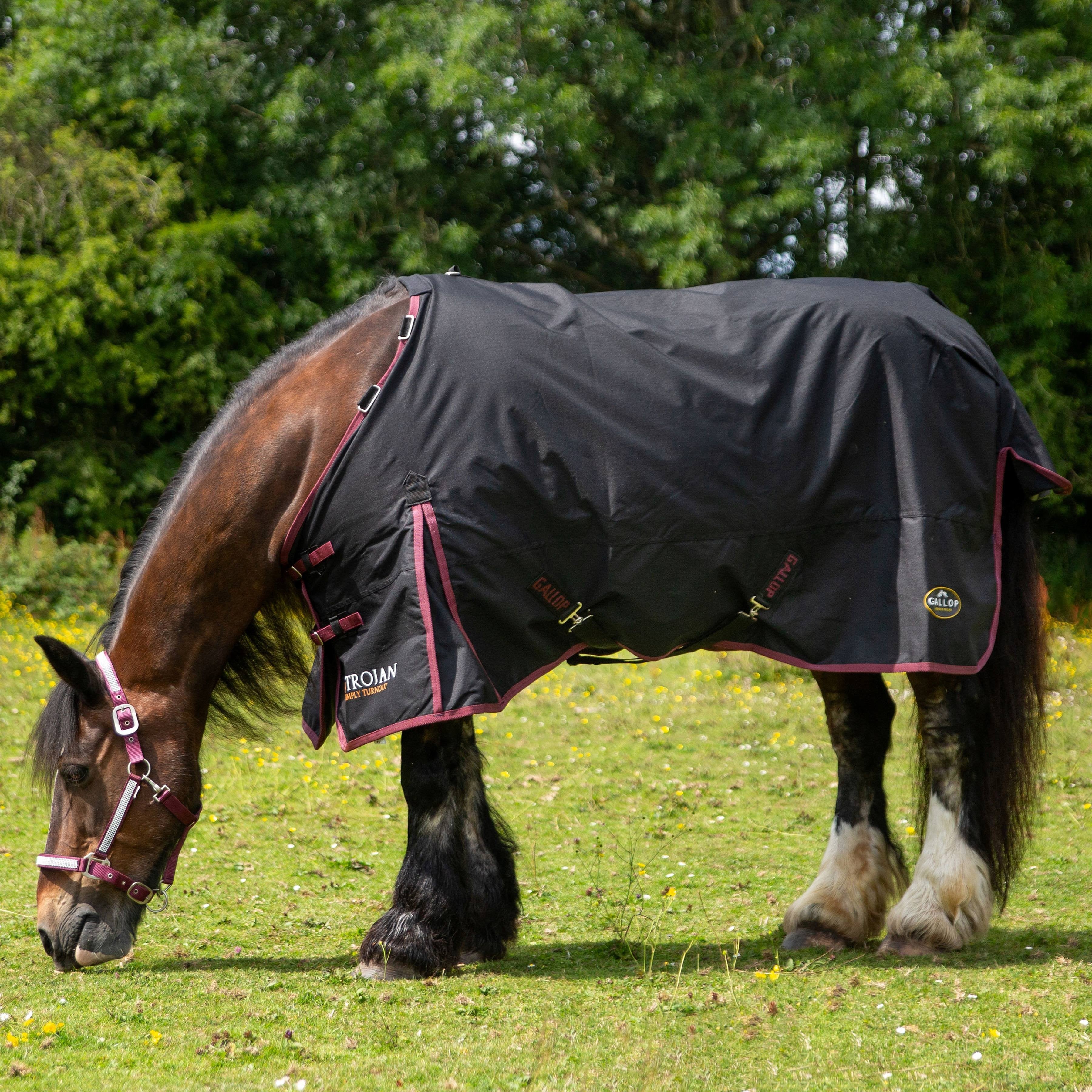 Gallop Trojan 50g Horse Turnout Rug & Neck Set, Detachable Neck, Lightweight