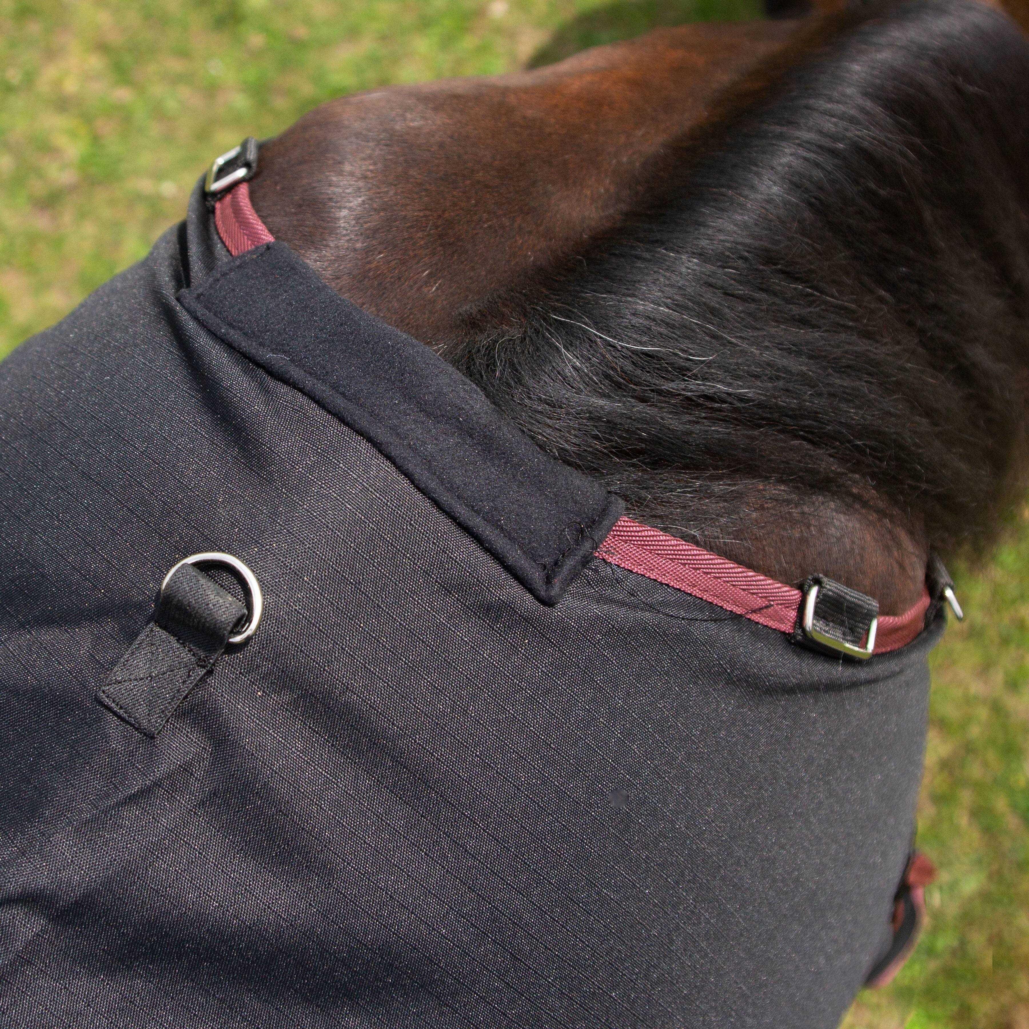Gallop Trojan 50g Horse Turnout Rug & Neck Set, Detachable Neck, Lightweight