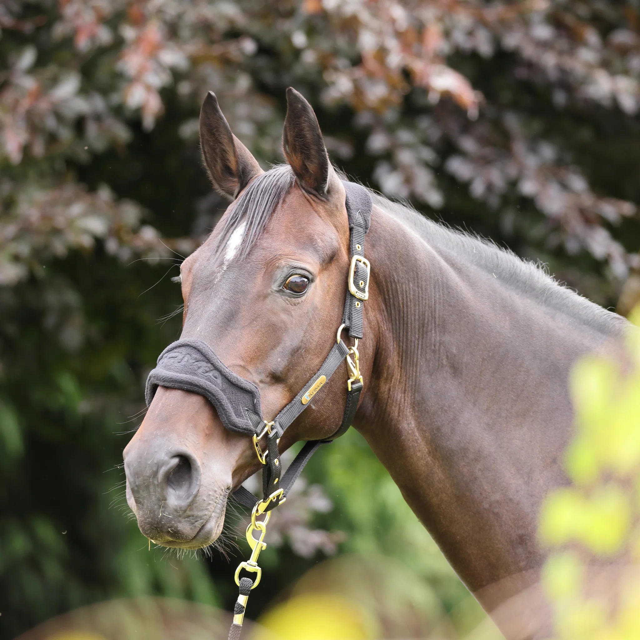 Shires ARMA Fleece Headcollar & Lead Rope, 3 Colours, 4 Sizes