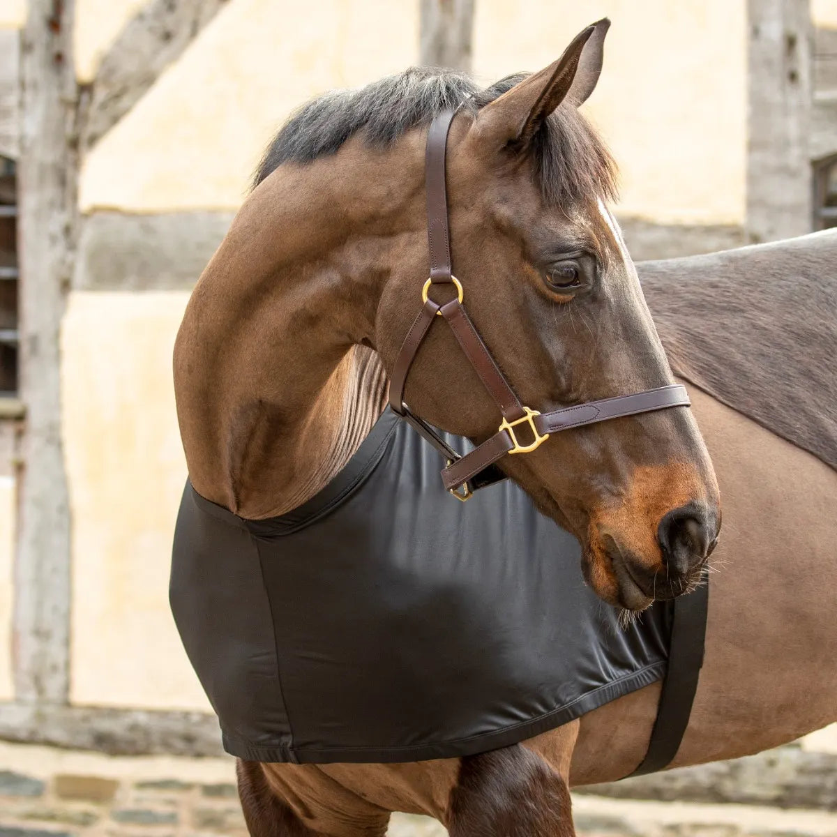 Shires Anti-Rub Stretch Horse/Pony Vest in Black