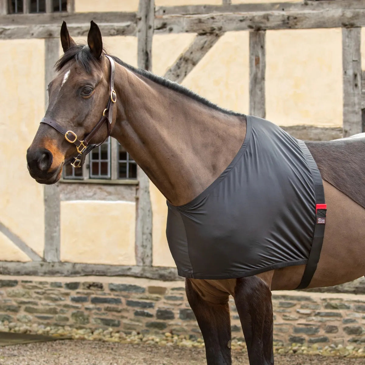 Shires Anti-Rub Stretch Horse/Pony Vest in Black