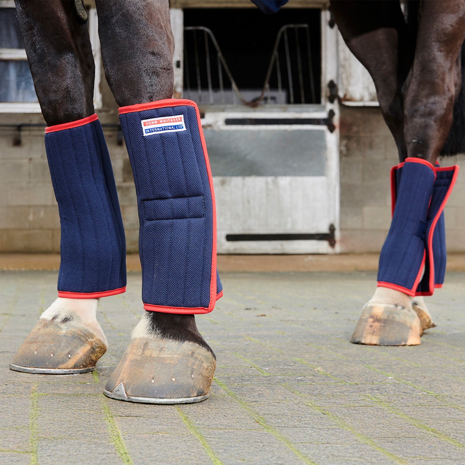 Whitaker IQ Multi Purpose Leg Wraps, Navy - 4 Wraps