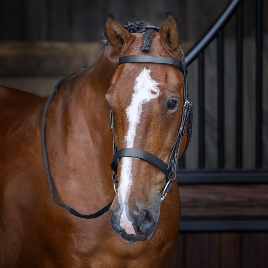 Shires Velociti Rapida Hunter Cavesson Bridle