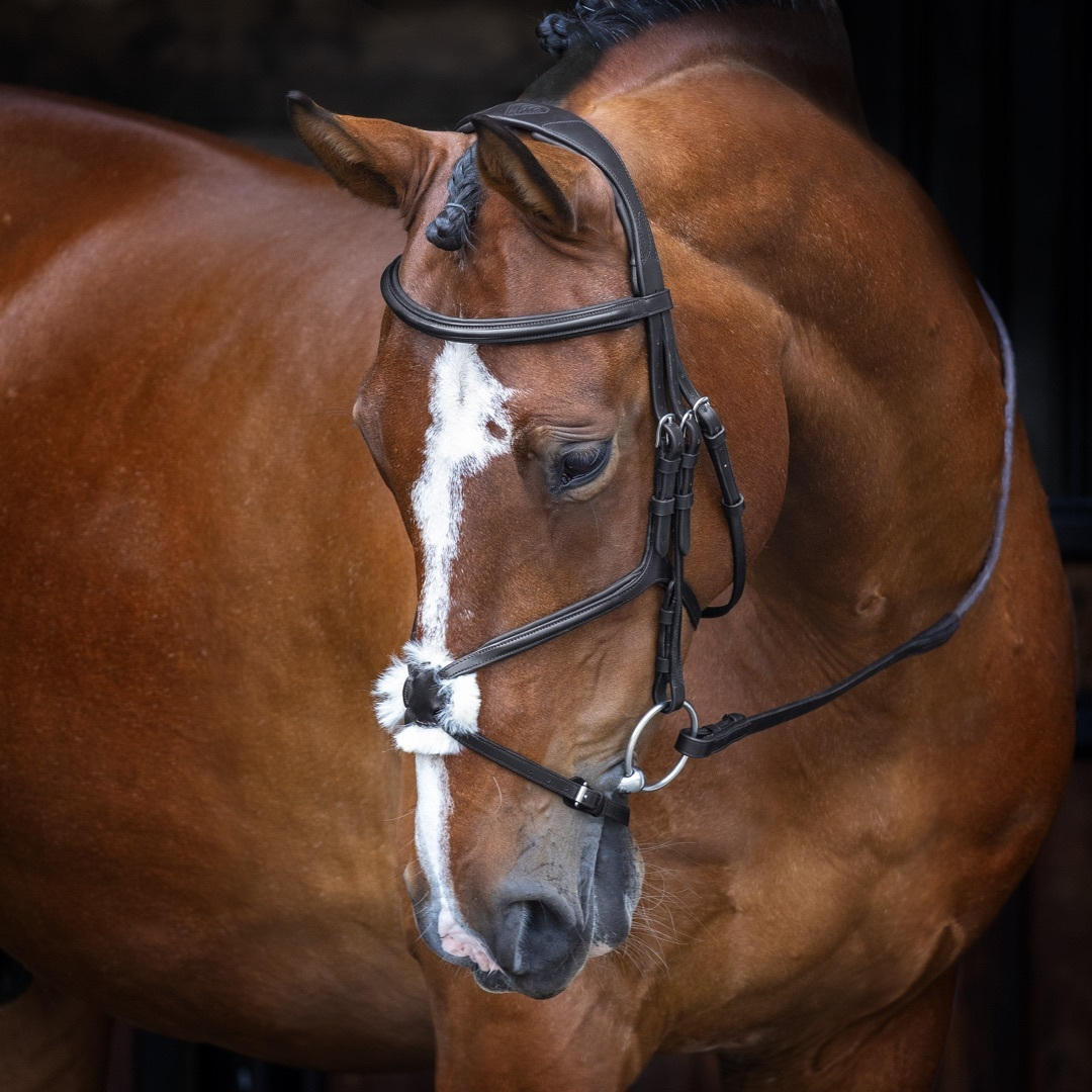 Shires Velociti Rapida Leather Grackle Bridle