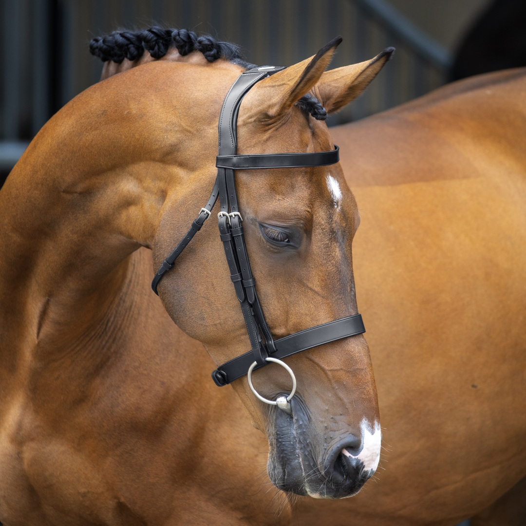 Bridle, Shires Velociti Lusso Hunter Cavesson Bridle, Black, Havana, 4 Sizes