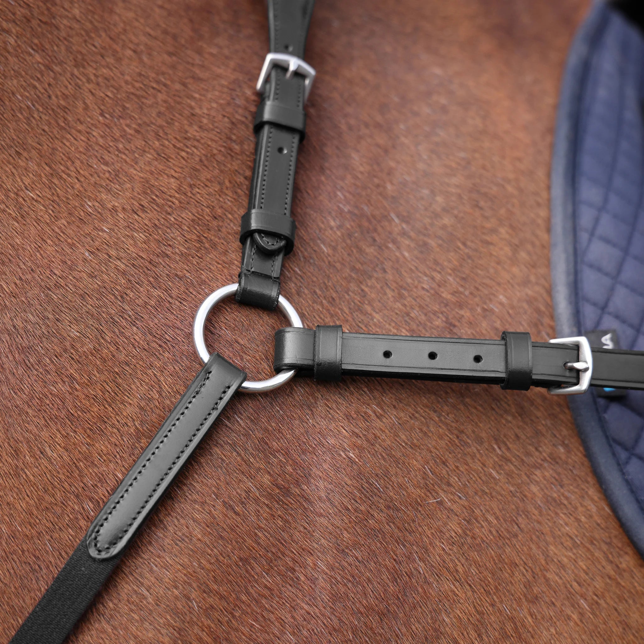 Shires Velociti Rapida Elastic Breastplate, Black, Havana, 4 Sizes,