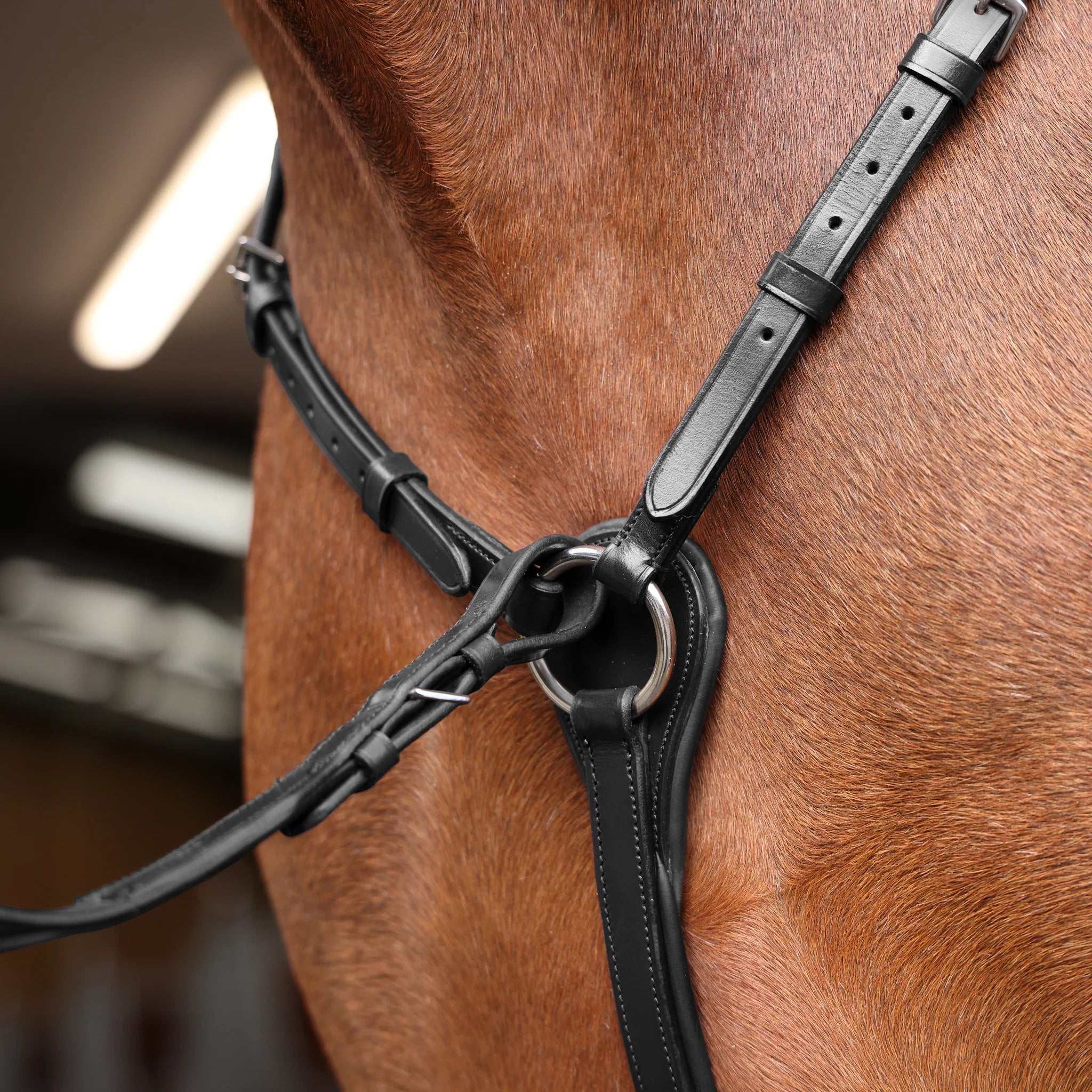 Shires Velociti Rapida Elastic Breastplate, Black, Havana, 4 Sizes,