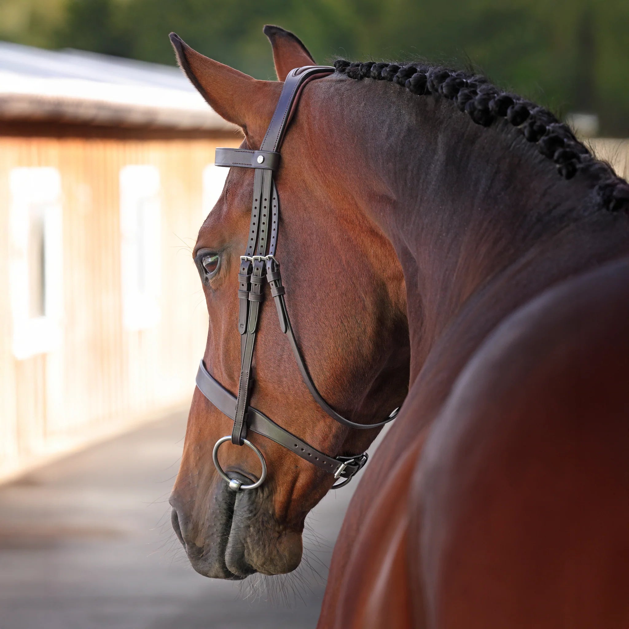 Shires Velociti LUSSO Elite Hunter Bridle, Black / Havana, 4 Sizes