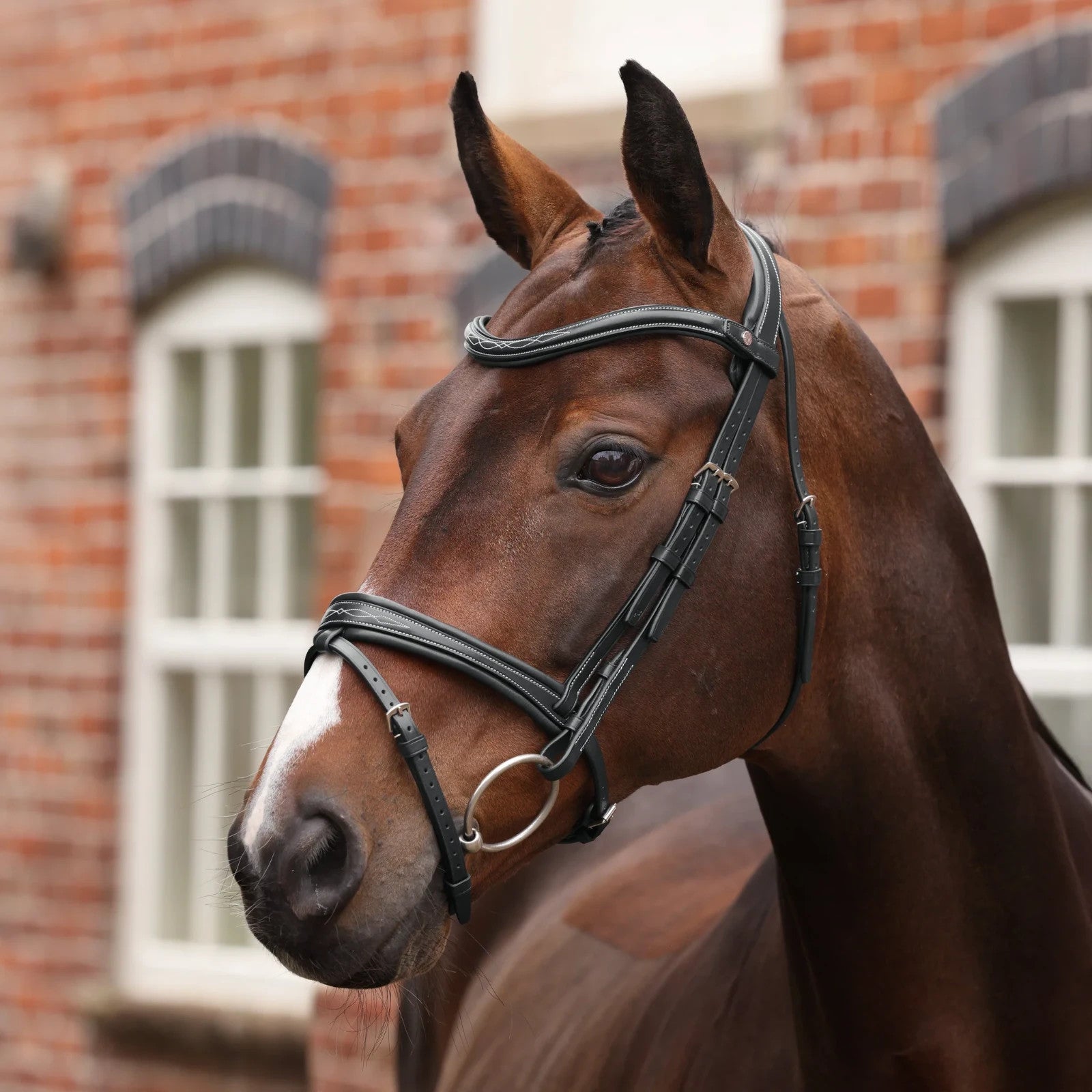 Picture of Shires Velociti LUSSO Opus 180M Padded Flash Bridle, Black / Havana, 4 Sizes