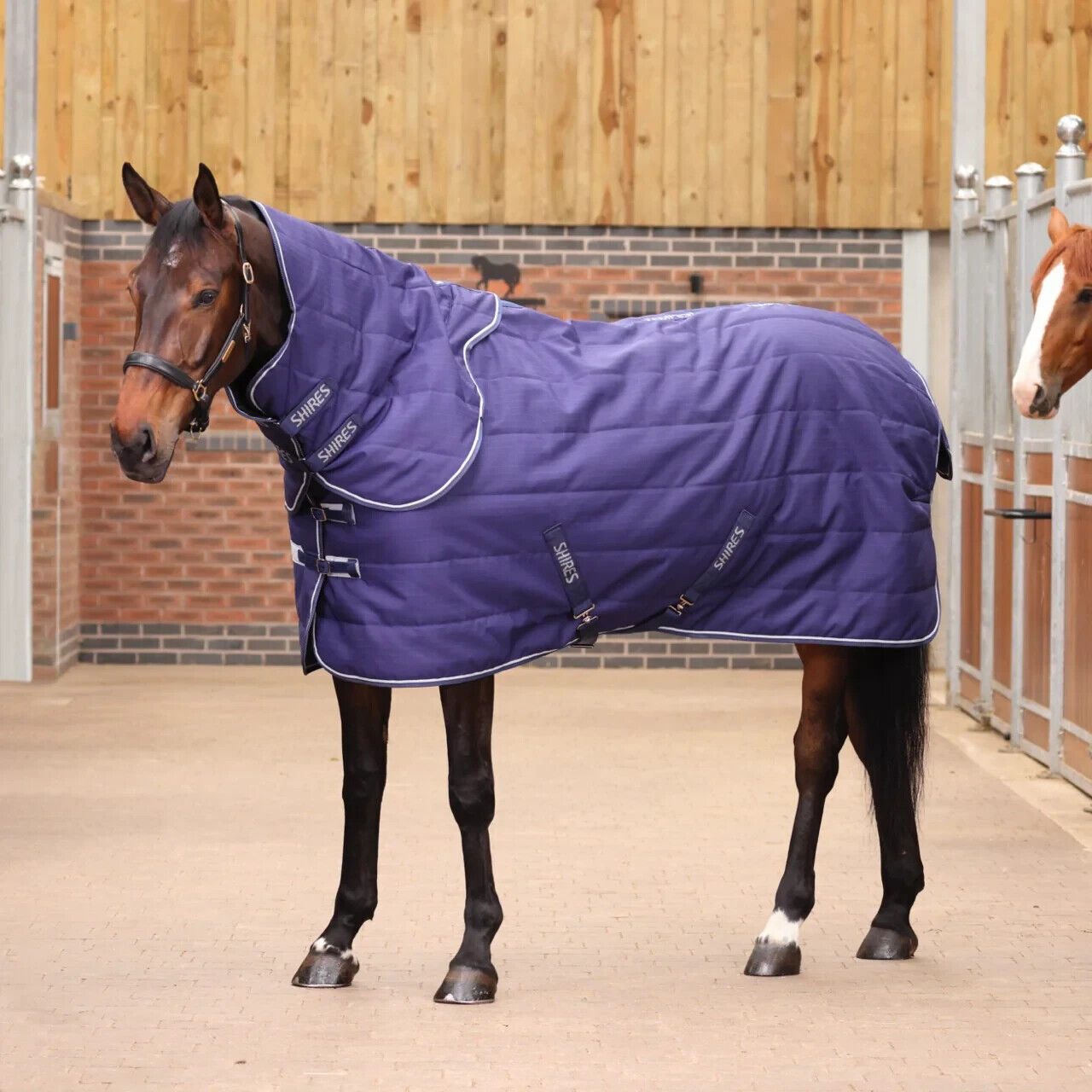 Picture of Shires Tempest Original 100G Lightweight Stable Horse Rug And Neck Set, 4'0-7'3