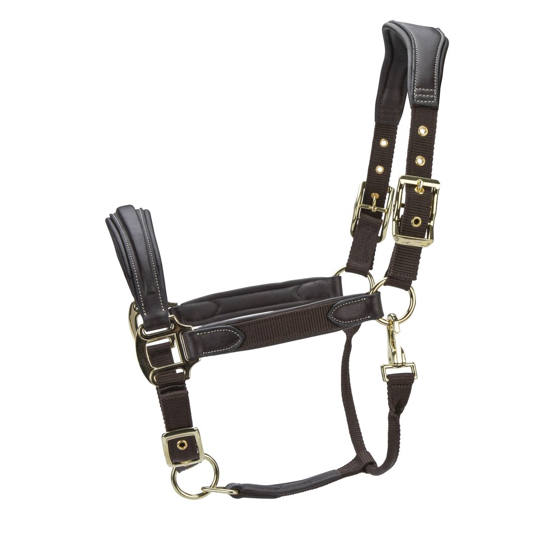 Picture of Shires Velociti Lusso Padded Leather Headcollar,  5 Colours, 3 Sizes