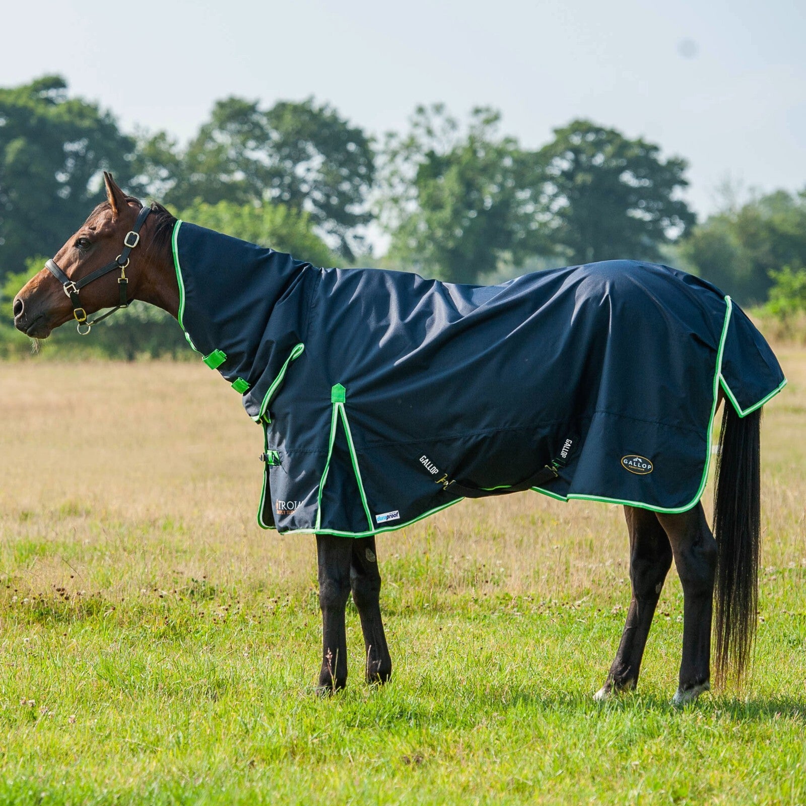 Picture of Gallop Trojan Duraproof 0g Horse Turnout Rug, Full Neck Combo Lightweight Rug