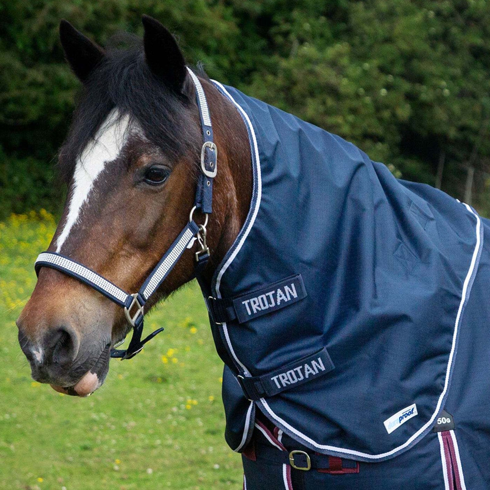 Picture of Gallop TROJAN Duraproof Rug Lightweight 0g Neck Cover, Outdoor.