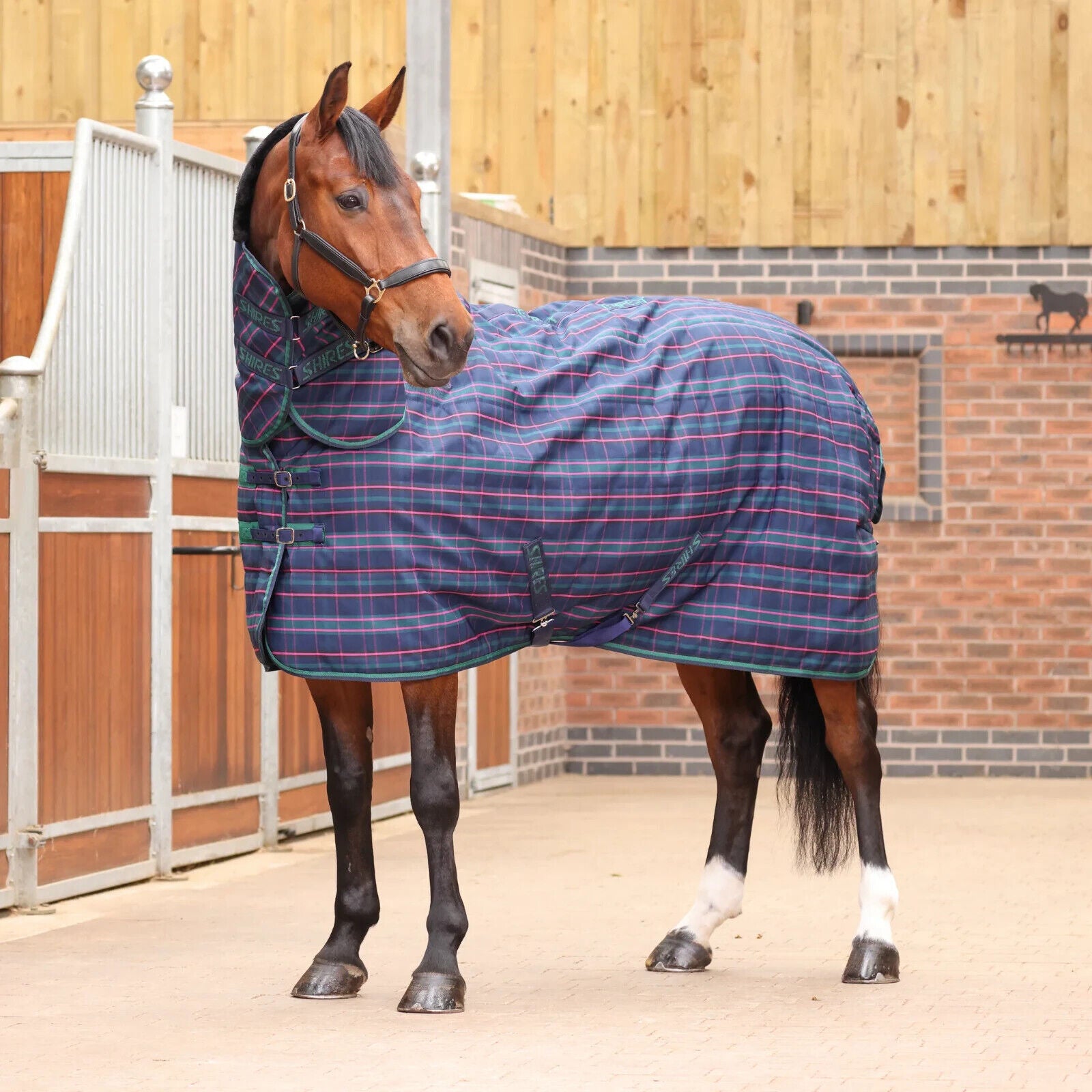 Picture of Shires Tempest Plus 100G Lightweight Combo Full Neck Horse Stable Rug, 5'0"-7'3"