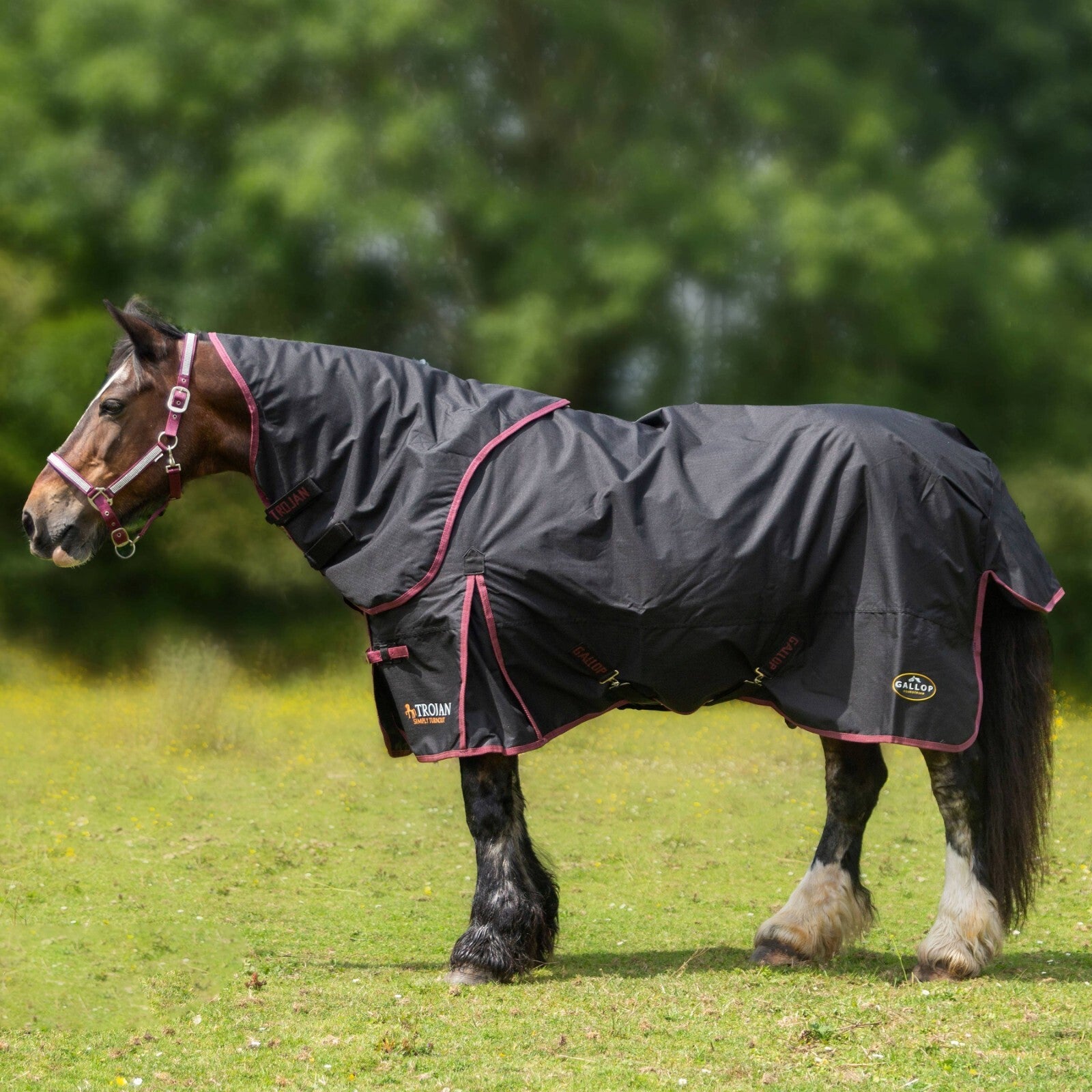 Picture of Gallop Trojan 50g Horse Turnout Rug & Neck Set, Detachable Neck, Lightweight