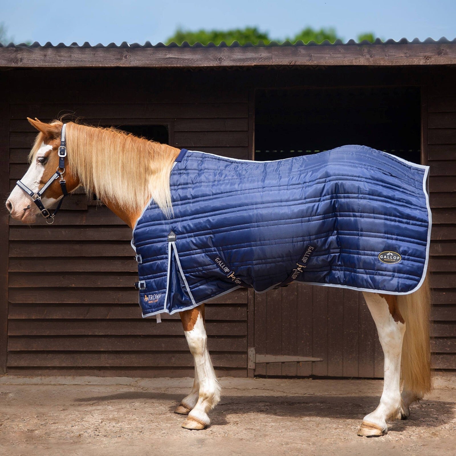 Picture of Gallop Trojan 300g Indoor Stable Rug Standard Neck In Navy/Grey