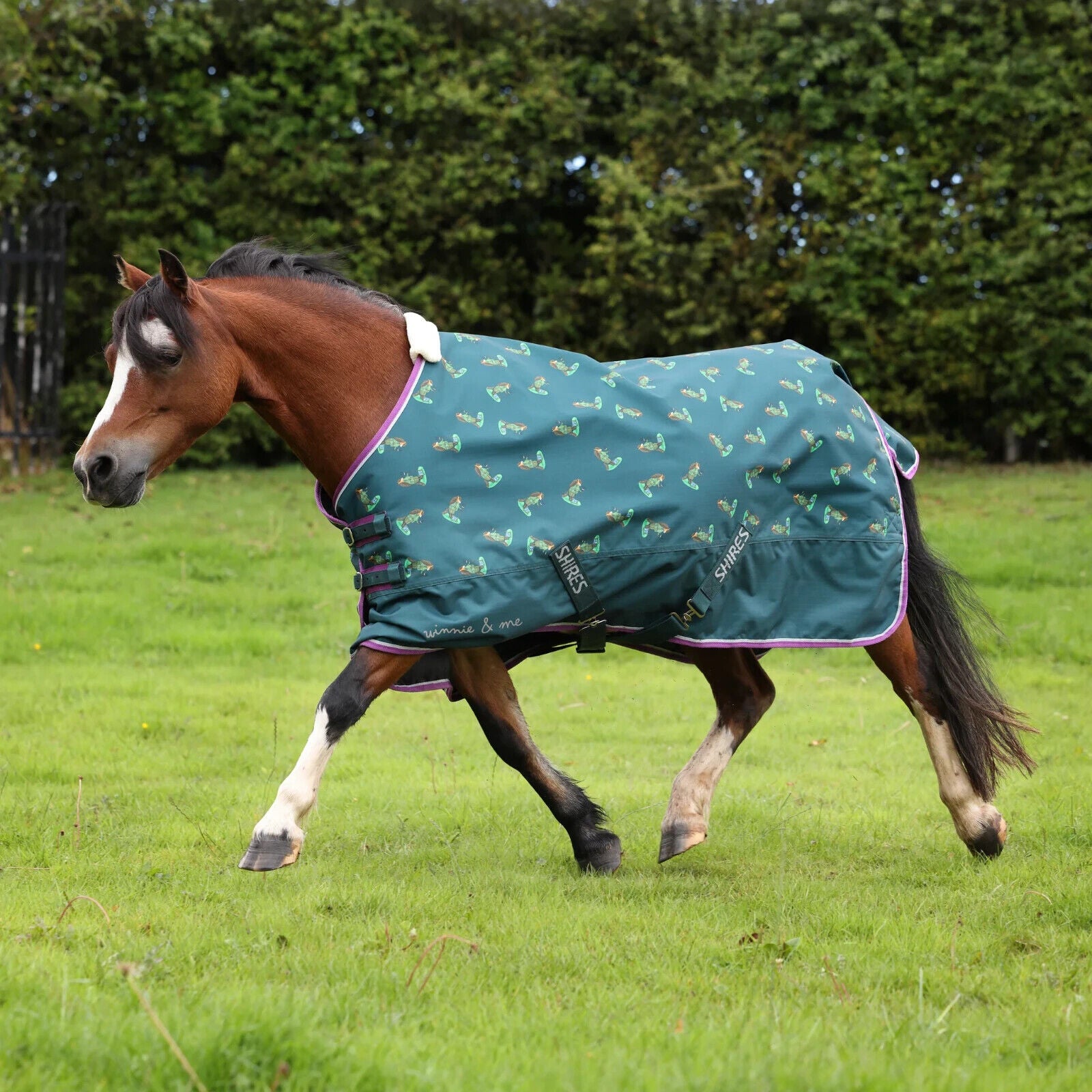 Picture of Shires Winnie & Me 100g Pony Turnout Rug, Mediumweight, 600 Denier, 3'6" - 5'3",