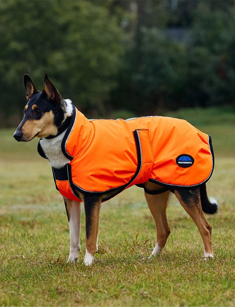 Picture of Weatherbeeta Comfitec Reflective 300D Deluxe Showerproof Dog Coat,  11 Sizes.