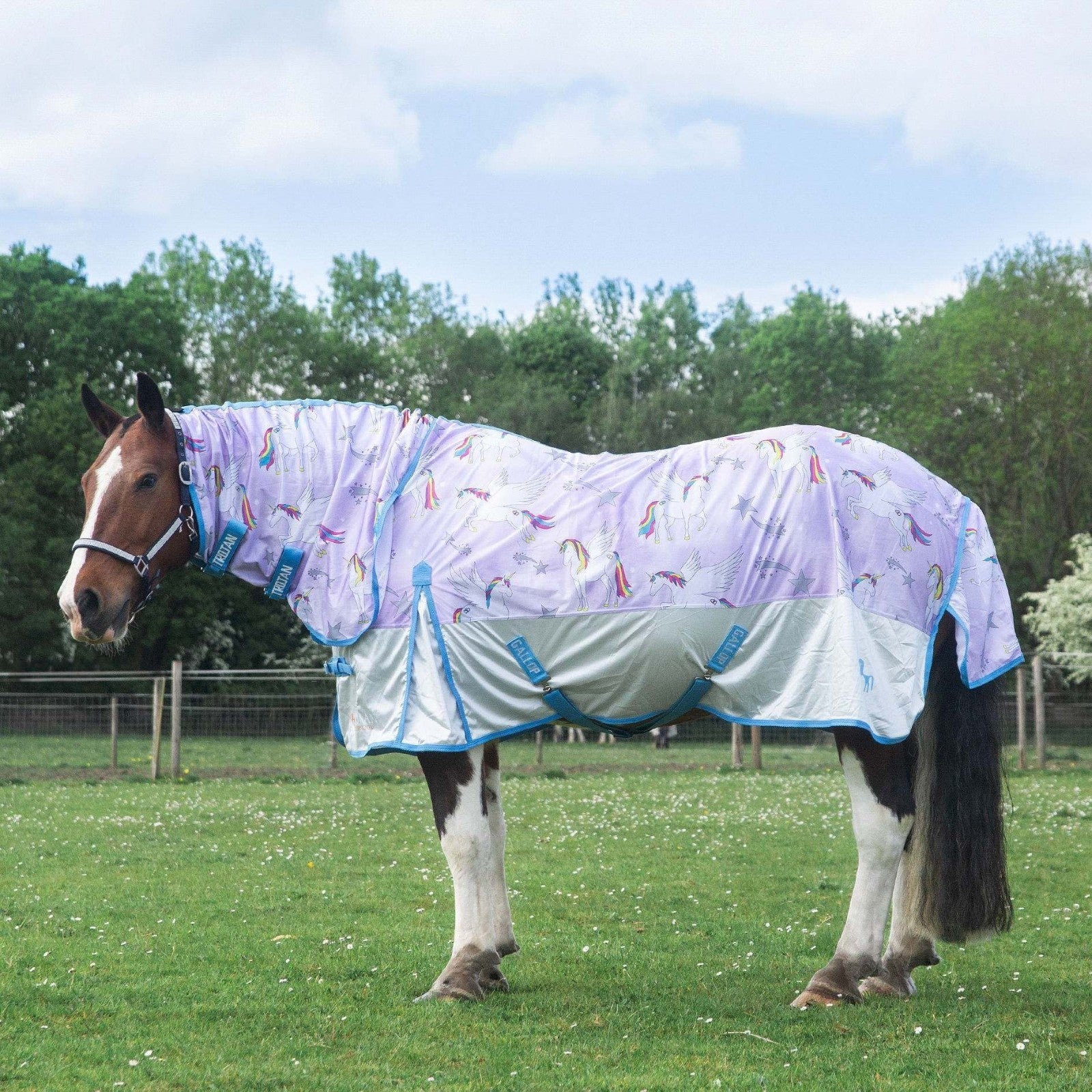 Picture of Gallop Trojan & Ponie  'Pegacorn' Combo Fly Rug,  3'6" - 7'0"