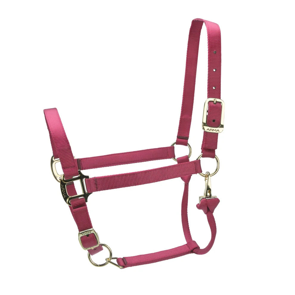 Picture of Shires ARMA Premium Adjustable Headcollar, 10 Colours, 4 Sizes