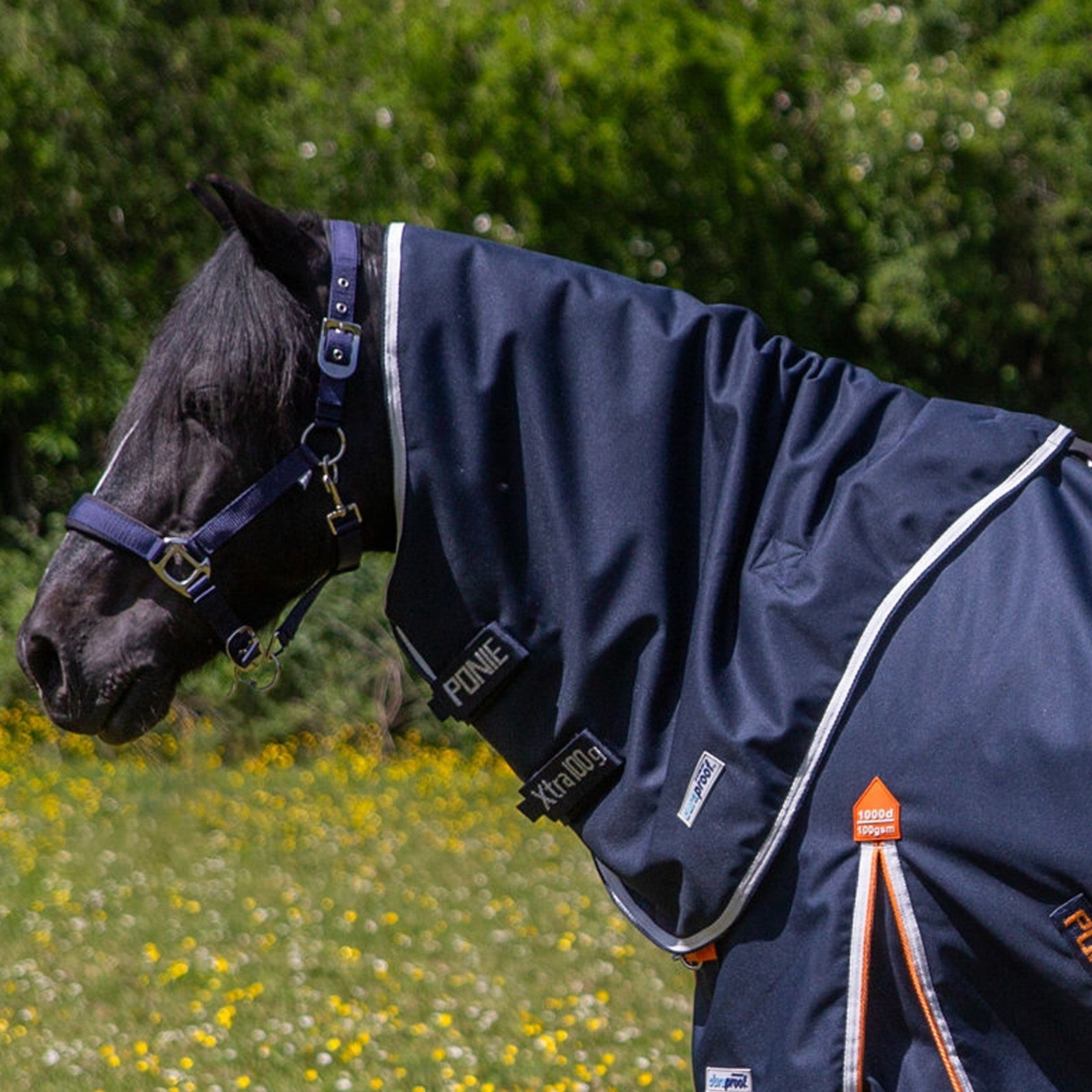 Picture of Gallop PONIE Xtra Duraproof Lightweight 100g Rug Neck Cover, Outdoor 1000 denier