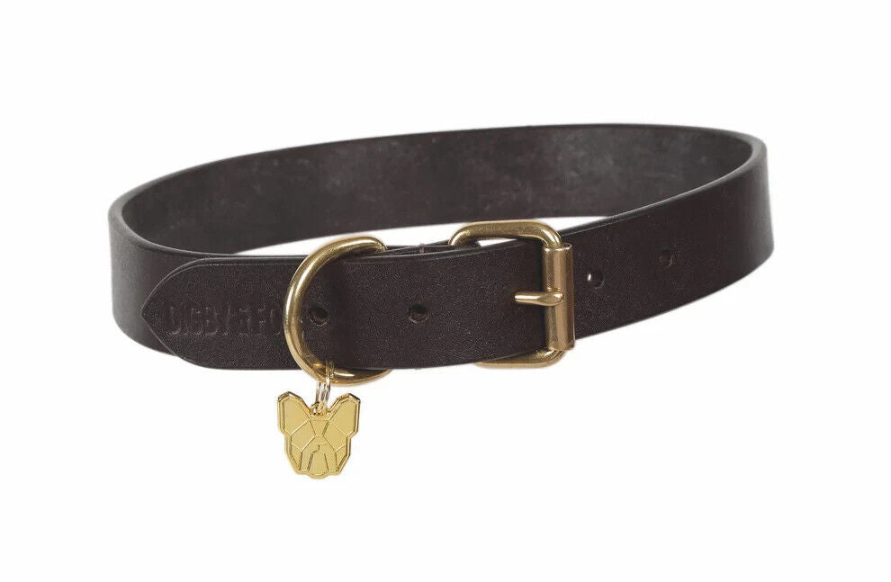 Picture of Shires Digby & Fox Flat Leather Dog Collar, 8 Sizes, 3 Colours