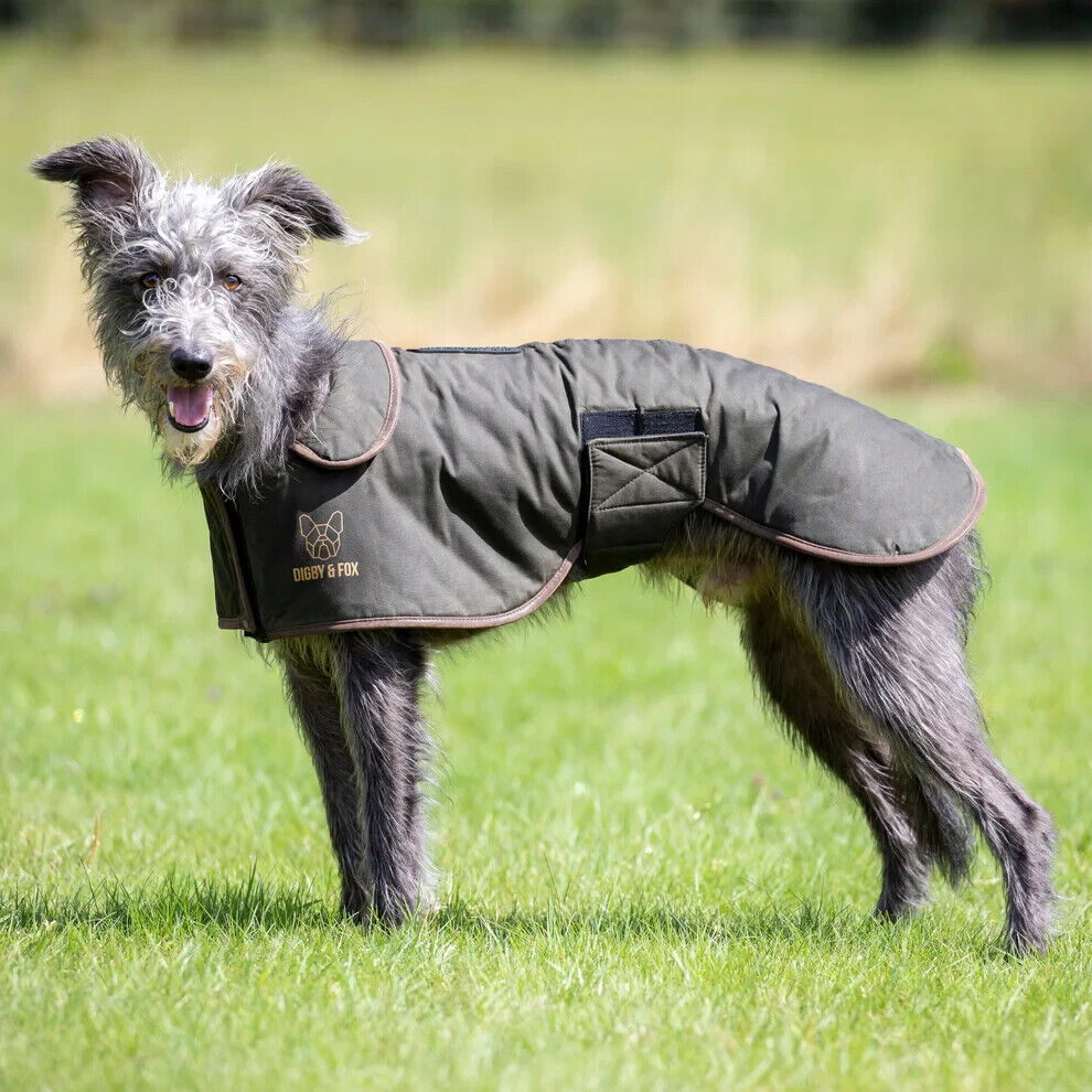 Picture of Digby & Fox Wax Greyhound Coat Dog Coat,  8 Sizes