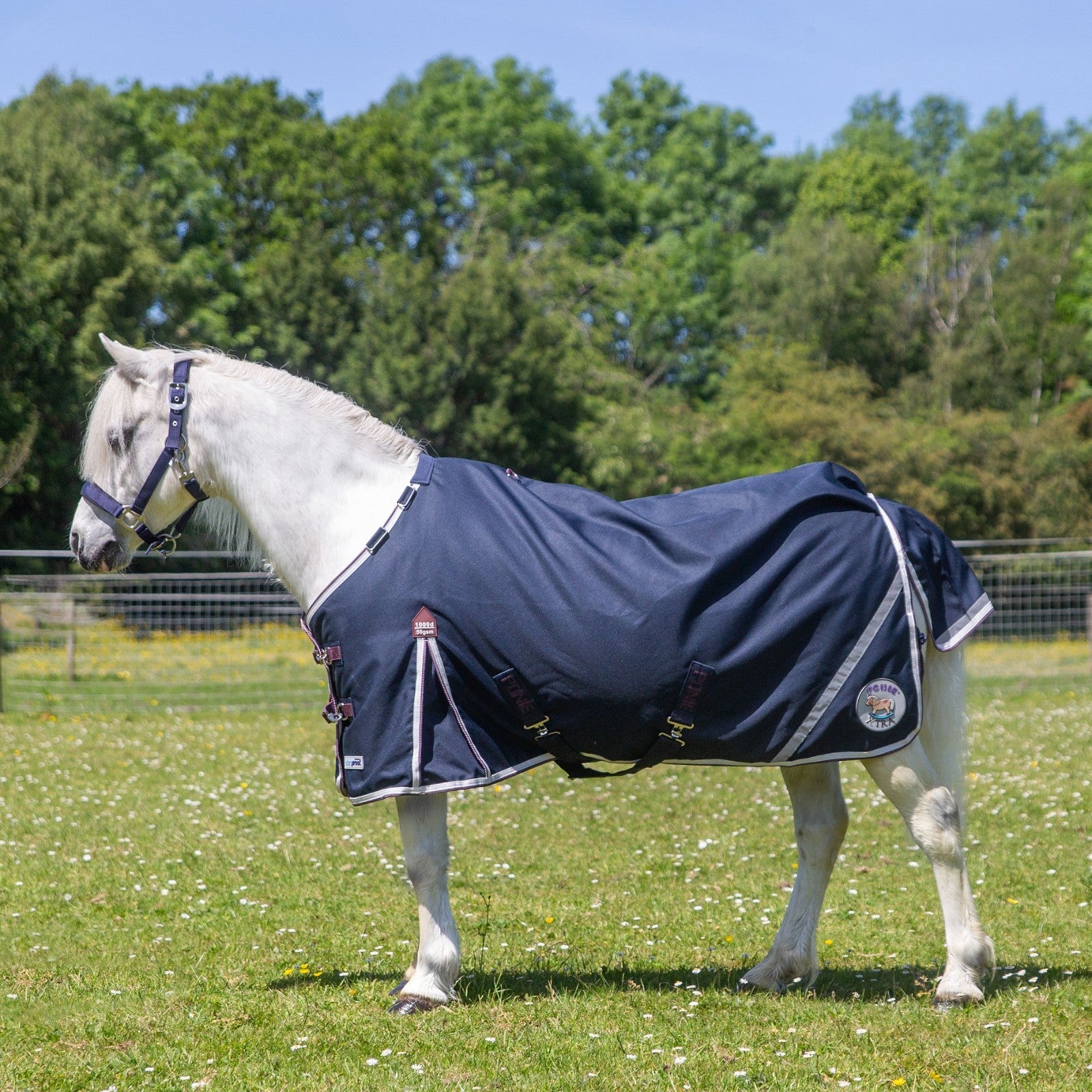 Picture of Gallop Ponie Xtra Duraproof 50G Lightweight 1000 Denier Horse Turnout Rug