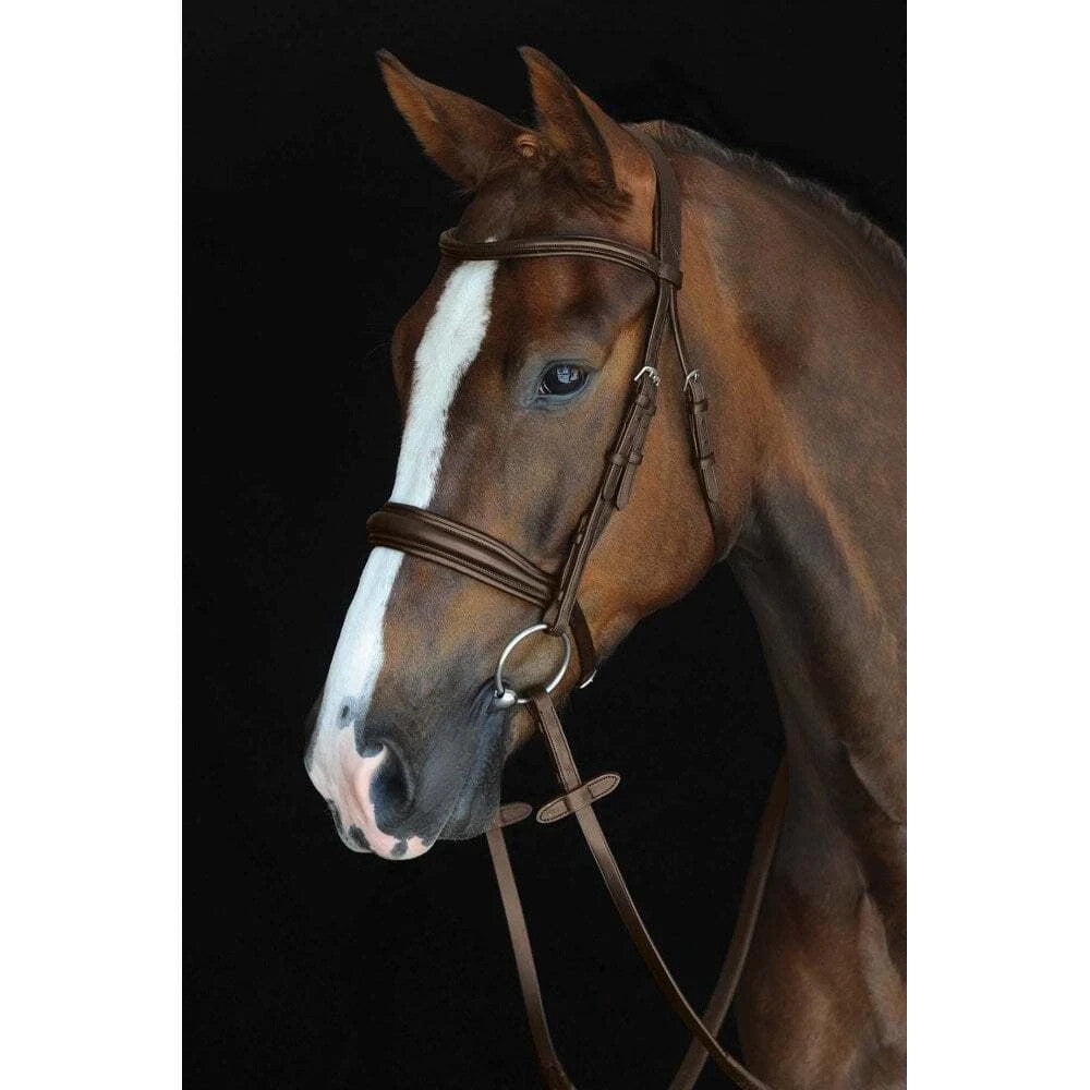 Picture of Collegiate Mono Crown Padded Raised Cavesson Bridle, Black, Brown, 3 Sizes